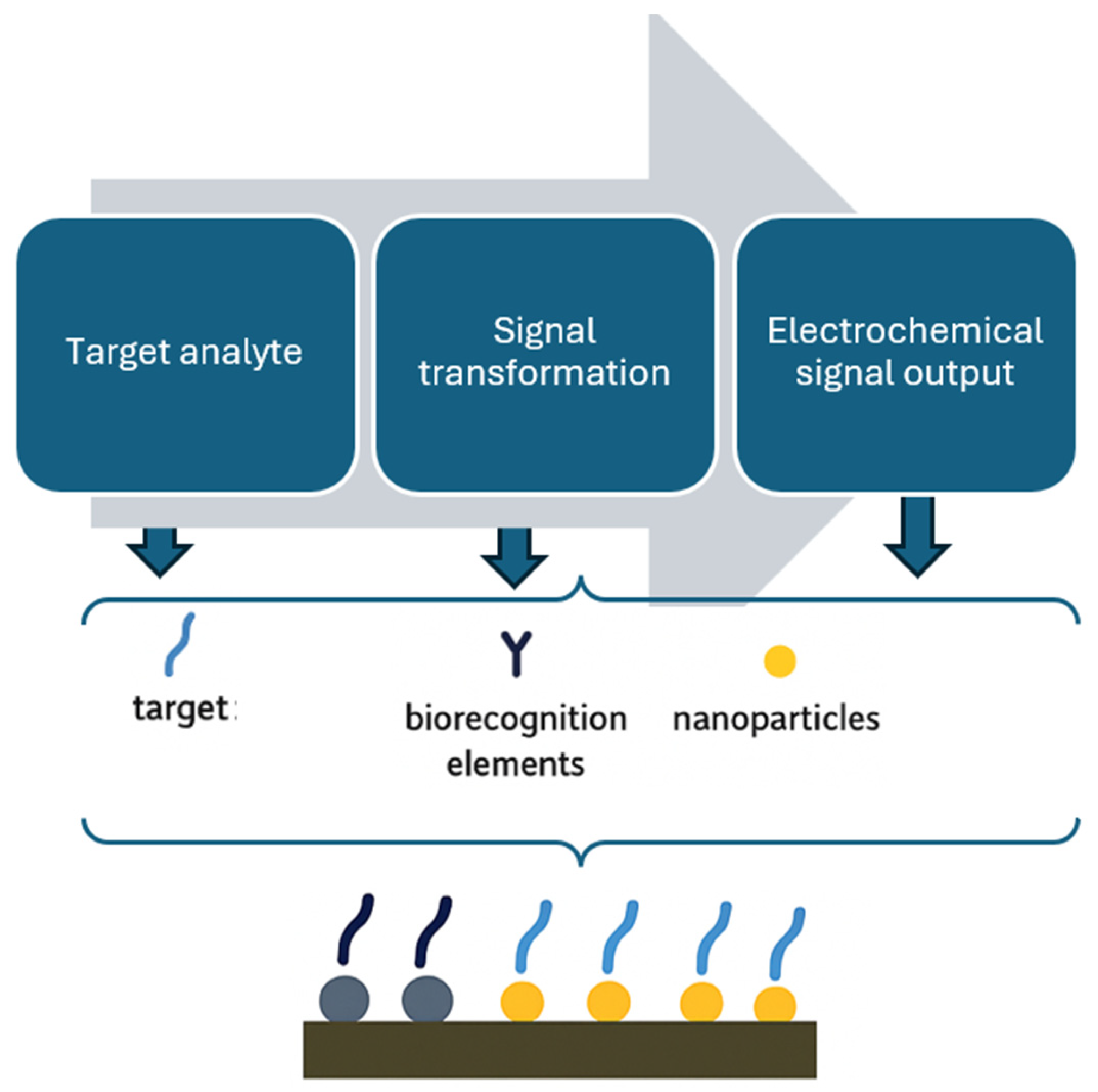 Foods 14 04139 g019 Foods 14 04139 g019