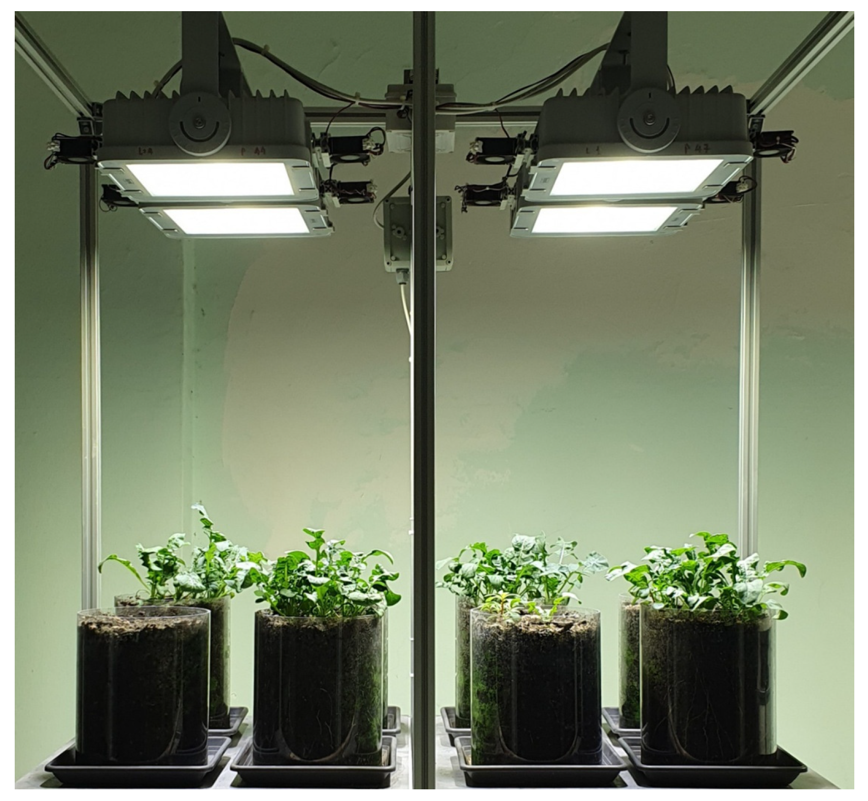 Foods 14 04148 g001 Foods 14 04148 g001