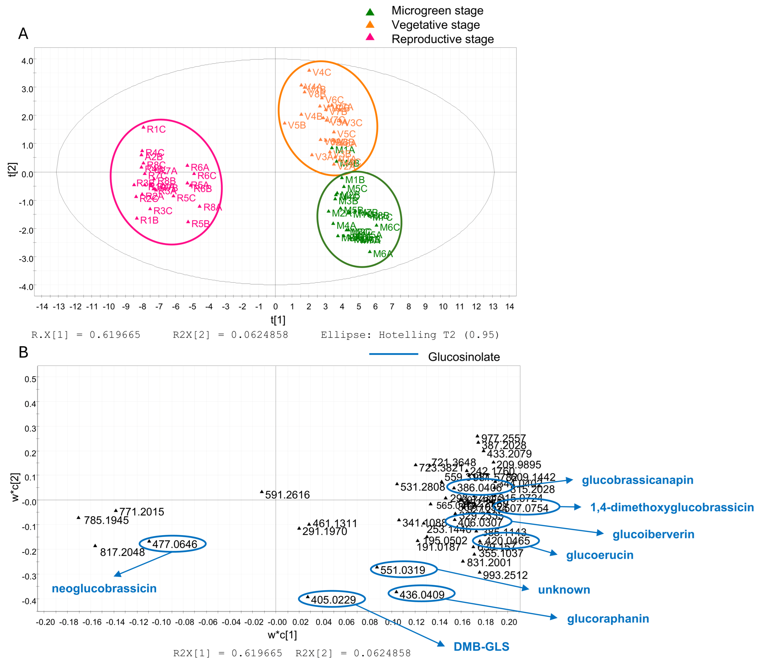 Foods 14 04148 g005 Foods 14 04148 g005