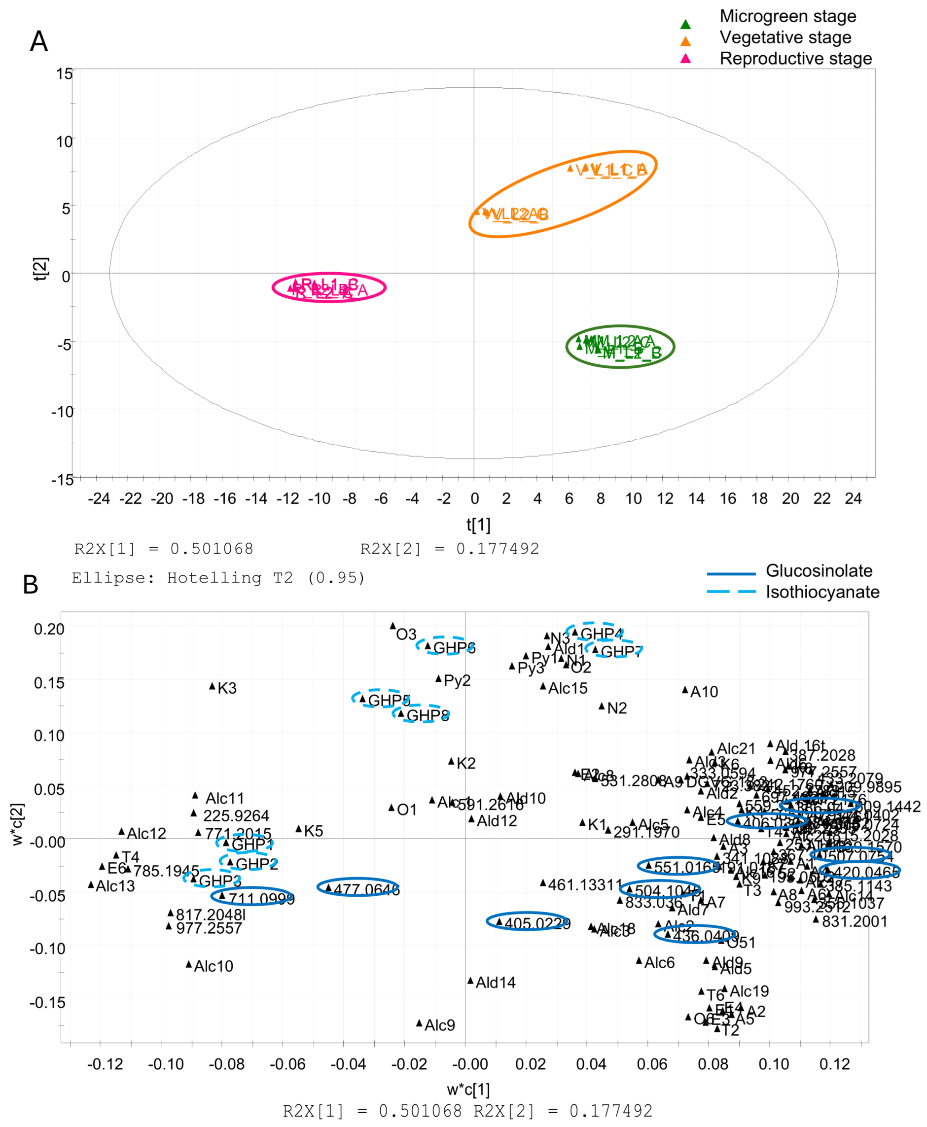 Foods 14 04148 g009 Foods 14 04148 g009