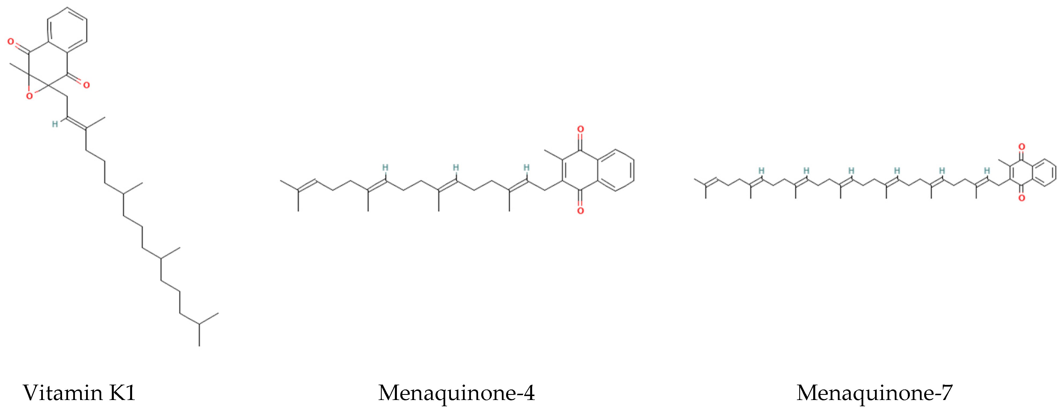 Foods 14 04150 g001 Foods 14 04150 g001