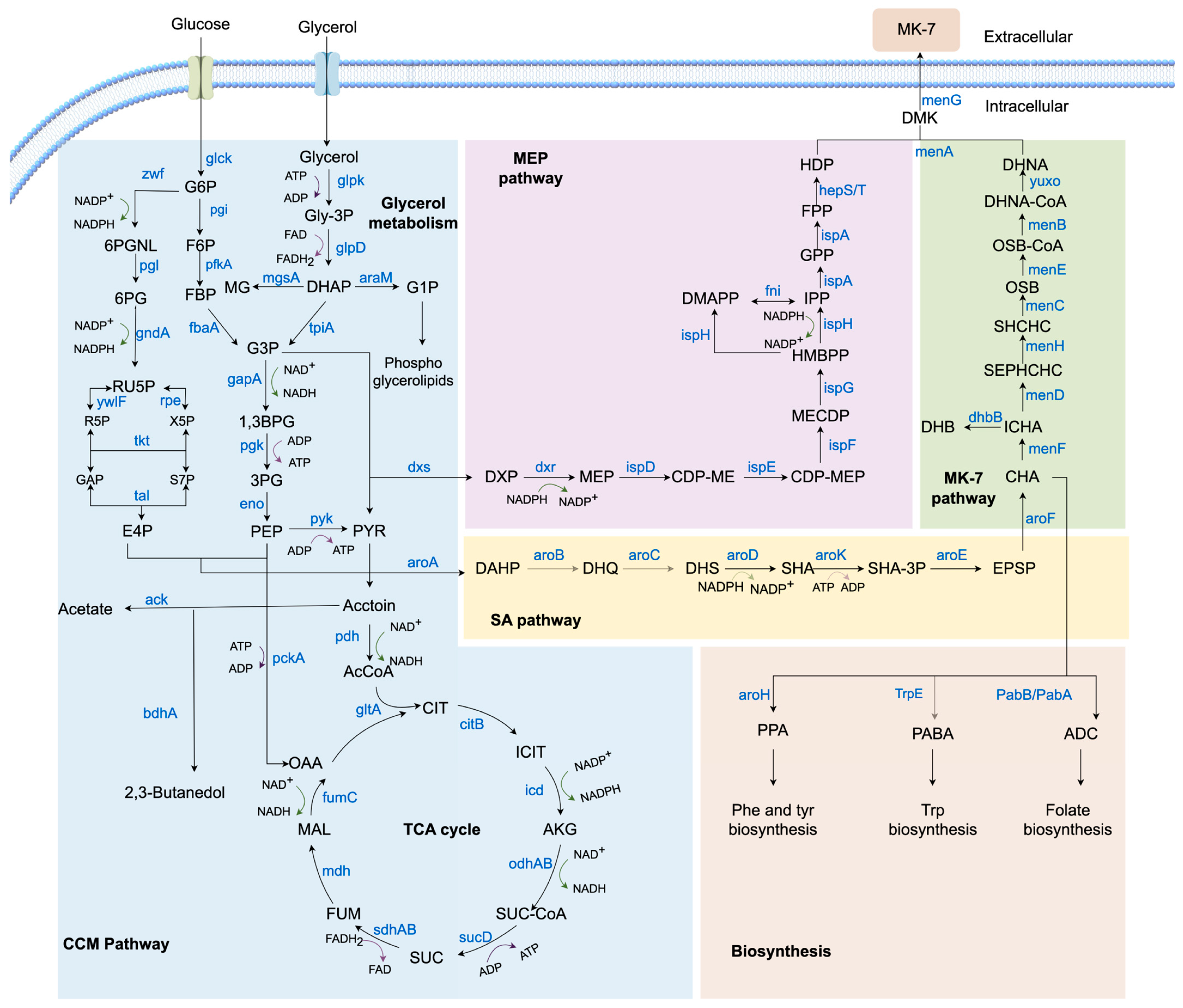 Foods 14 04150 g002 Foods 14 04150 g002