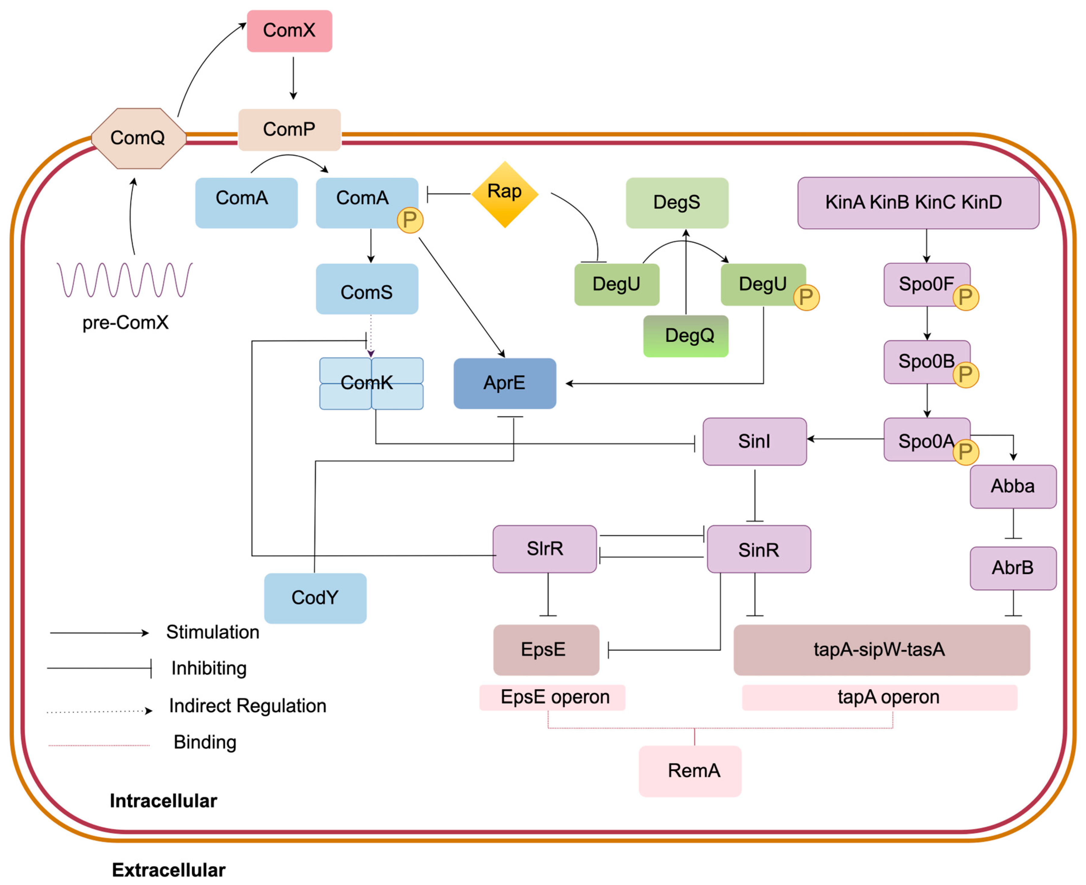 Foods 14 04150 g004 Foods 14 04150 g004