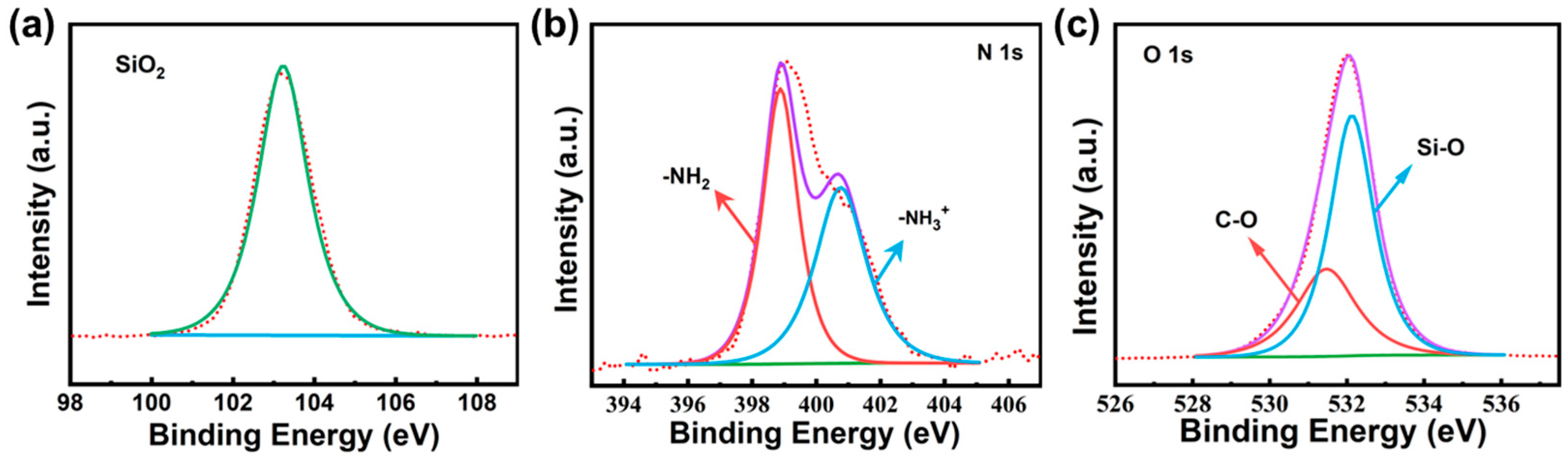 Foods 14 04151 g002 Foods 14 04151 g002