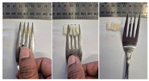 Foods 14 04153 i005 Foods 14 04153 i005