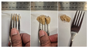 Foods 14 04153 i009 Foods 14 04153 i009