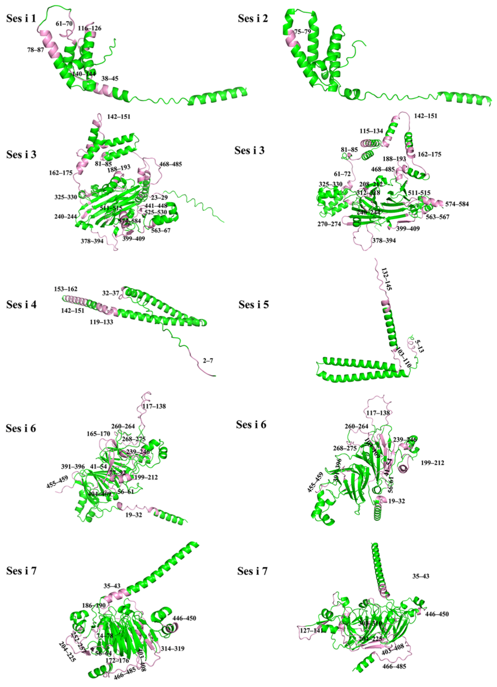 Foods 14 04158 g002 Foods 14 04158 g002