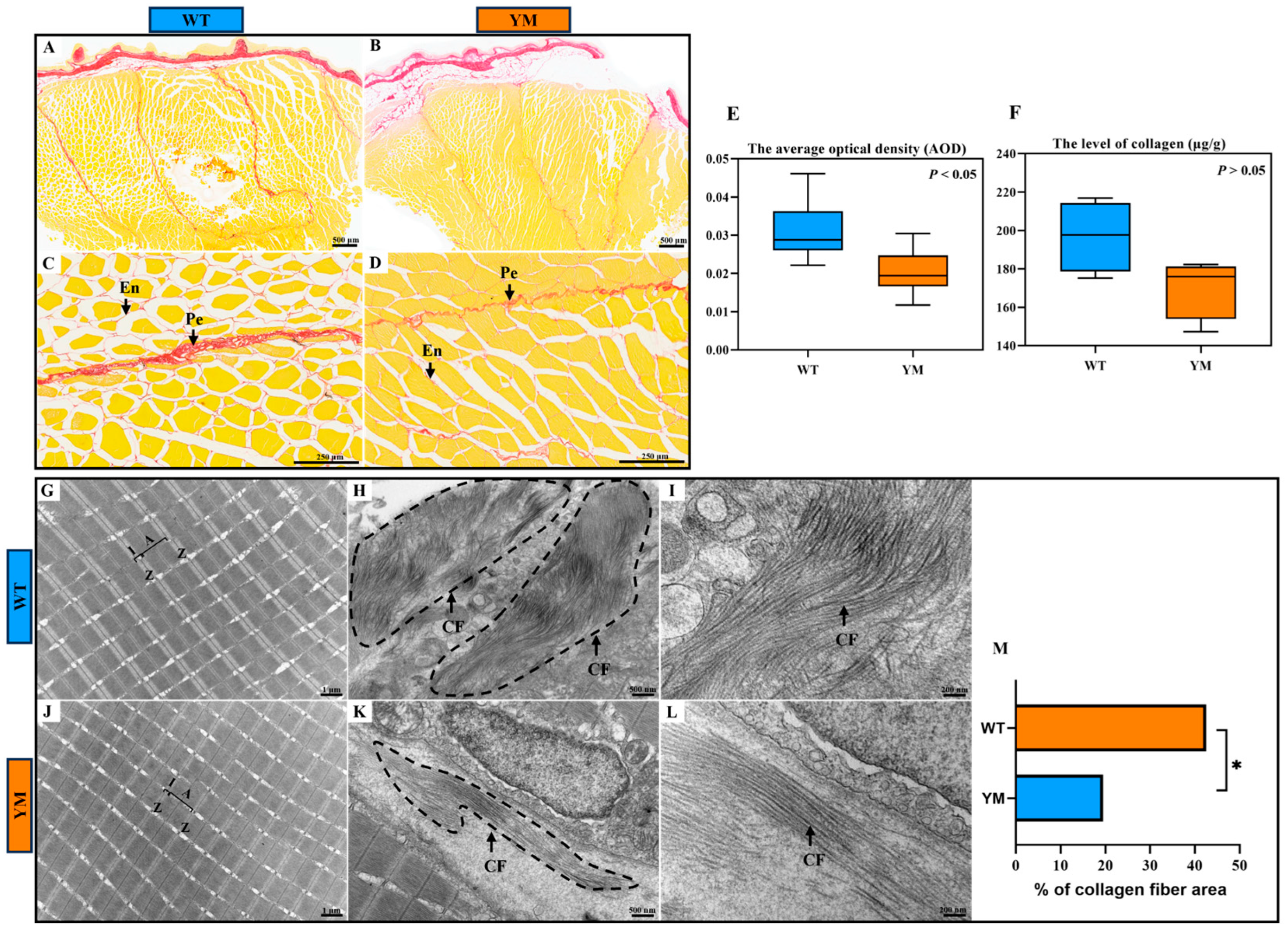 Foods 14 04196 g002 Foods 14 04196 g002