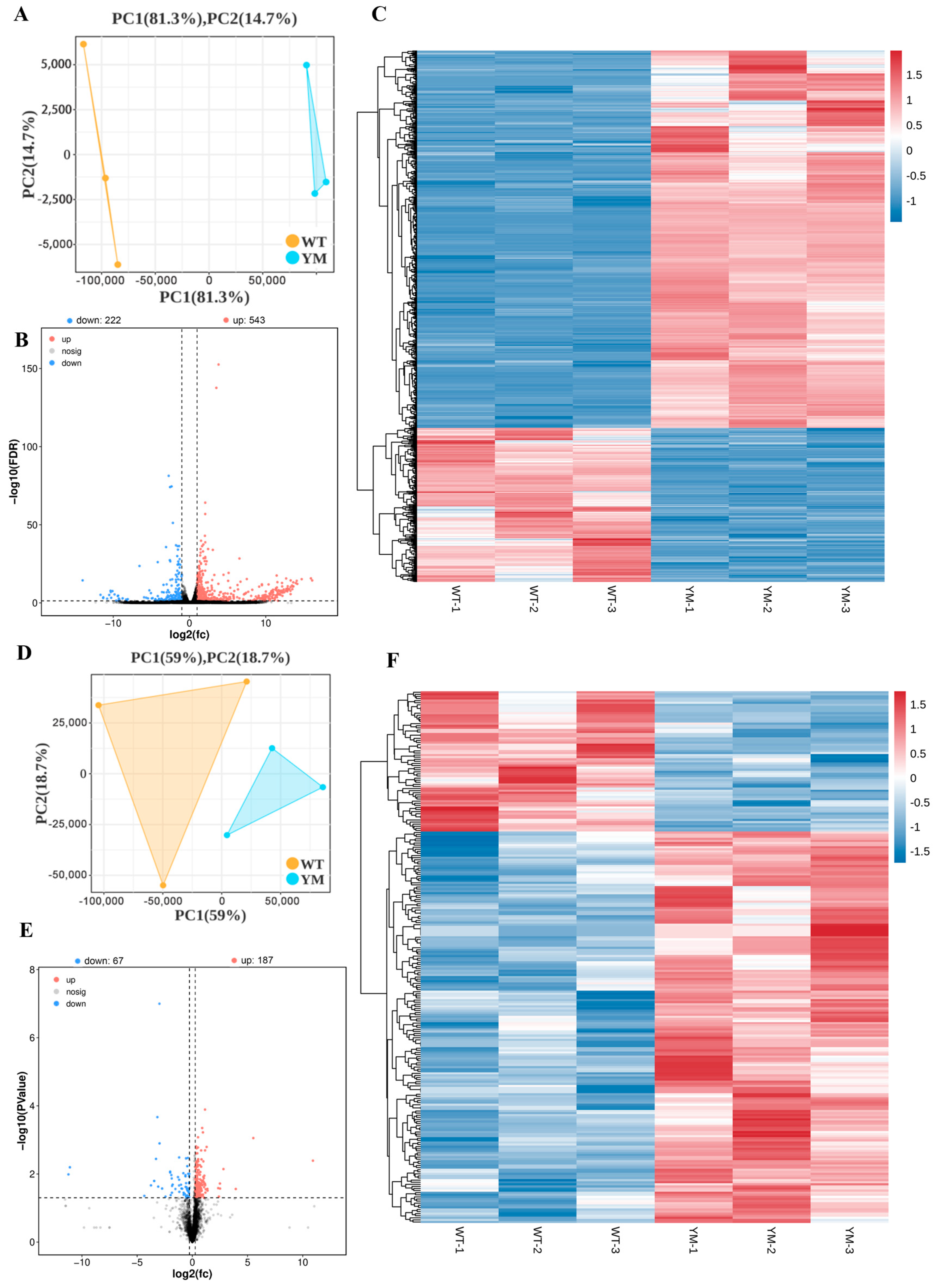 Foods 14 04196 g003 Foods 14 04196 g003