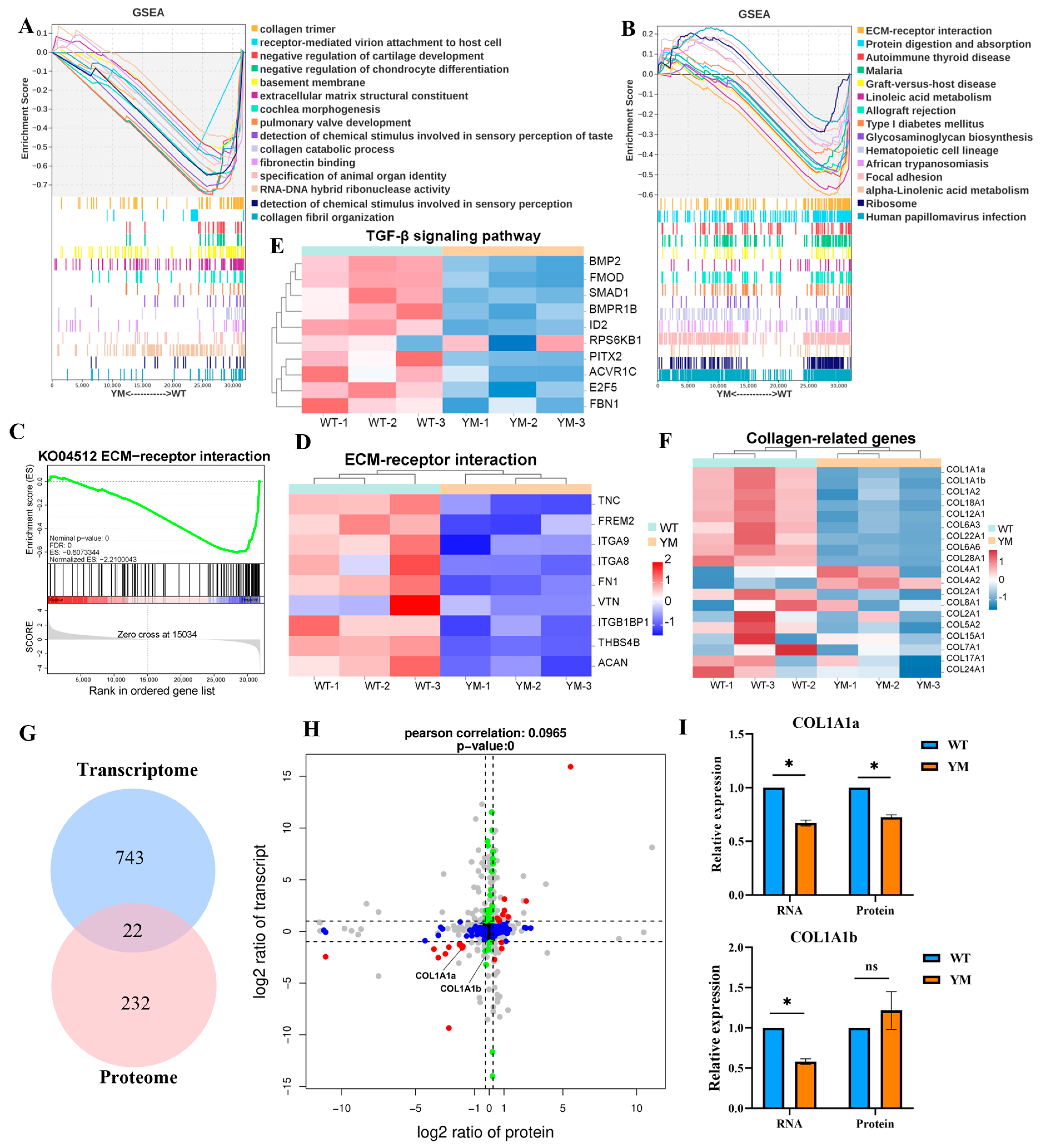 Foods 14 04196 g005 Foods 14 04196 g005