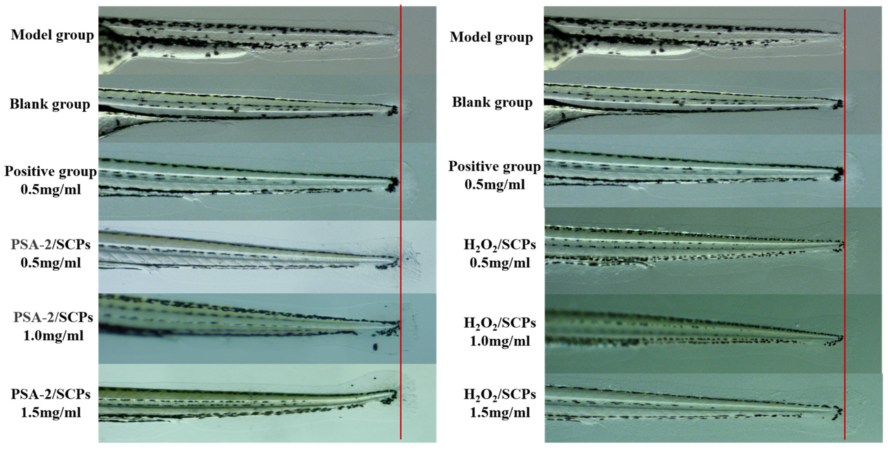 Foods 14 04214 g011 Foods 14 04214 g011
