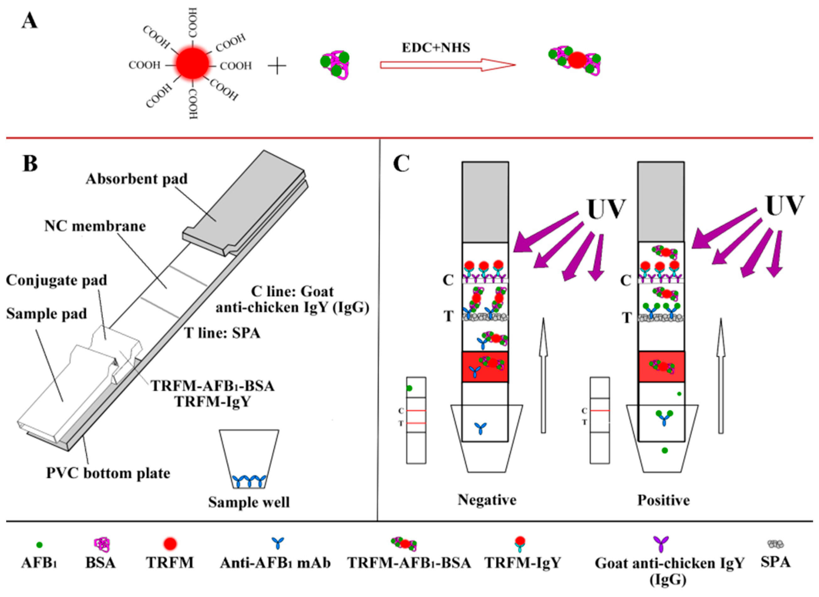 Foods 14 04218 g001 Foods 14 04218 g001
