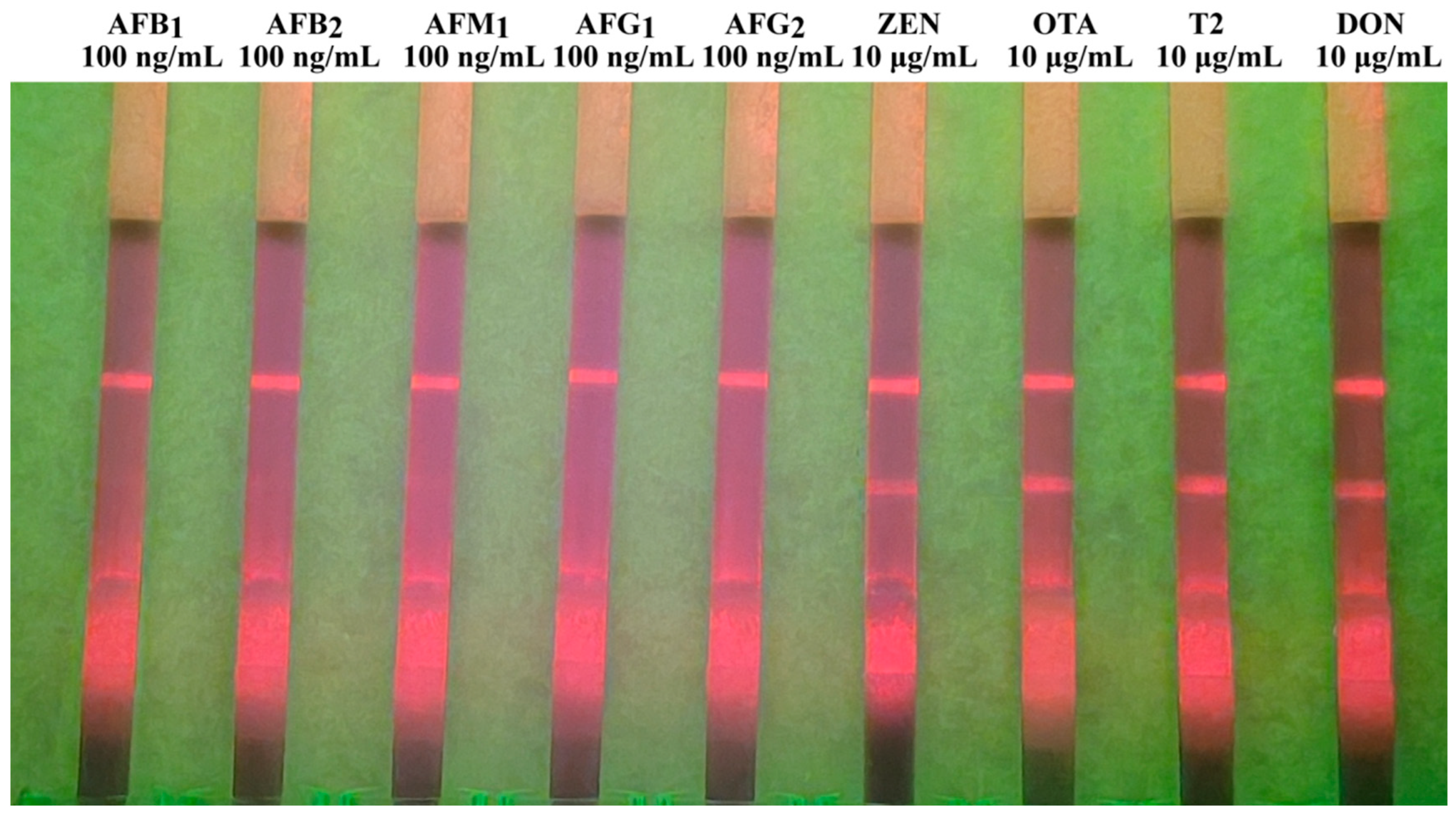 Foods 14 04218 g004 Foods 14 04218 g004