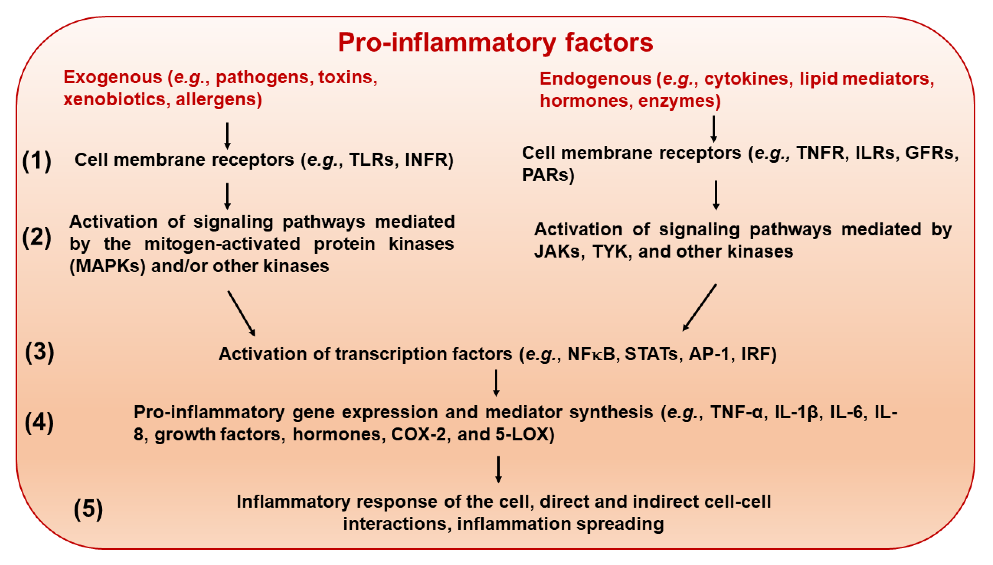Foods 14 04219 g003 Foods 14 04219 g003