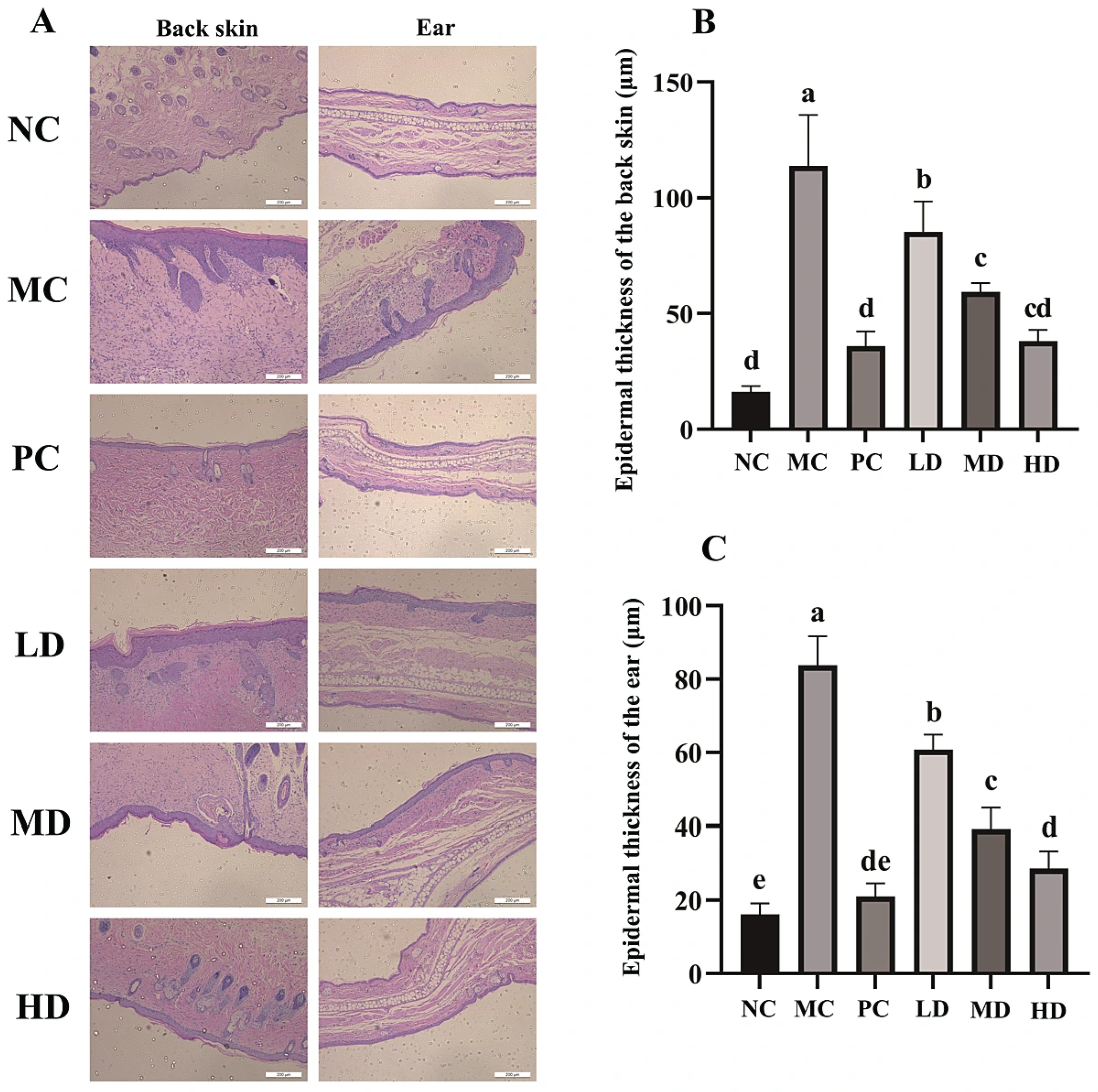 Foods 14 04238 g003 Foods 14 04238 g003