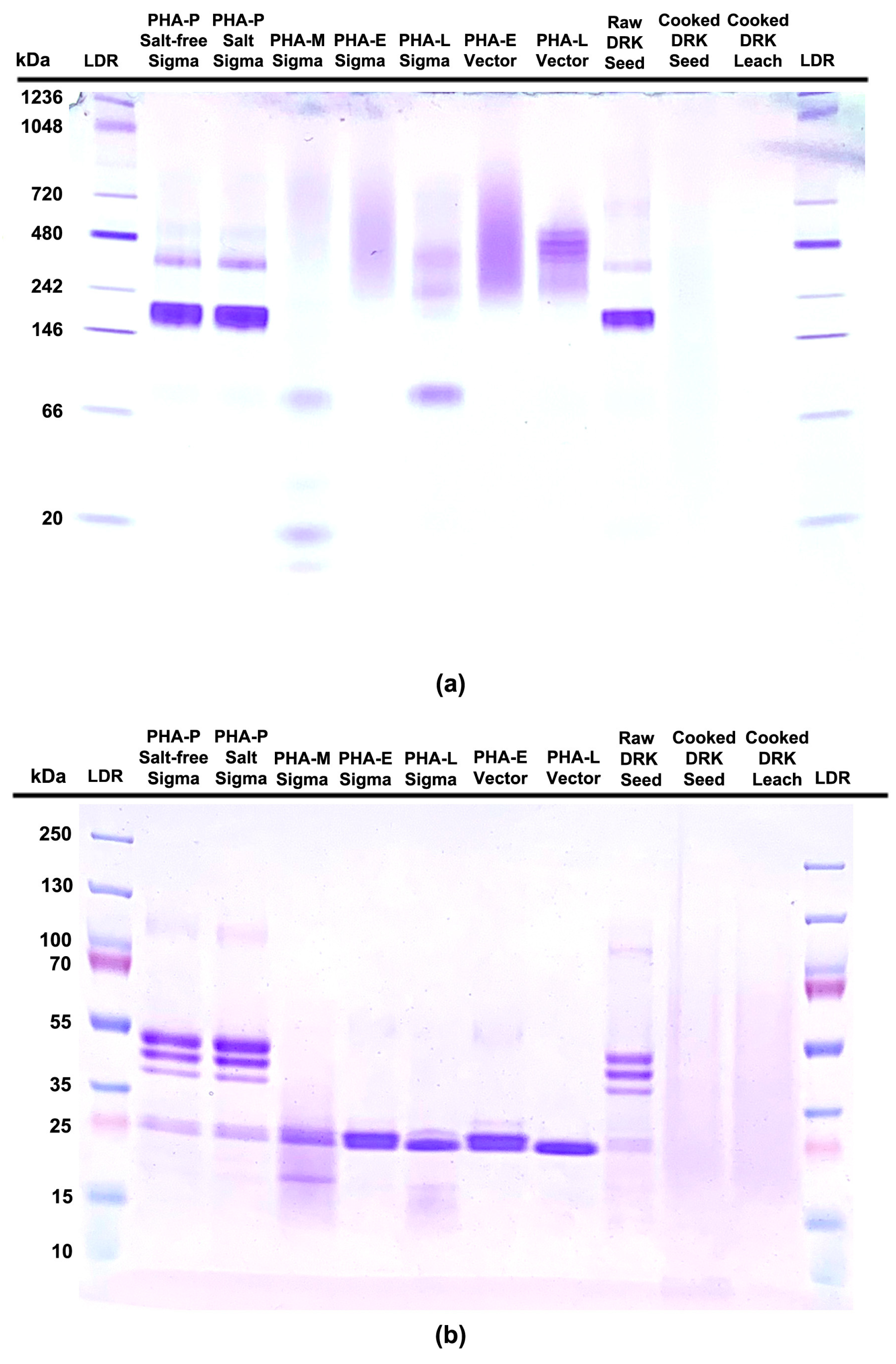 Foods 14 04247 g001 Foods 14 04247 g001