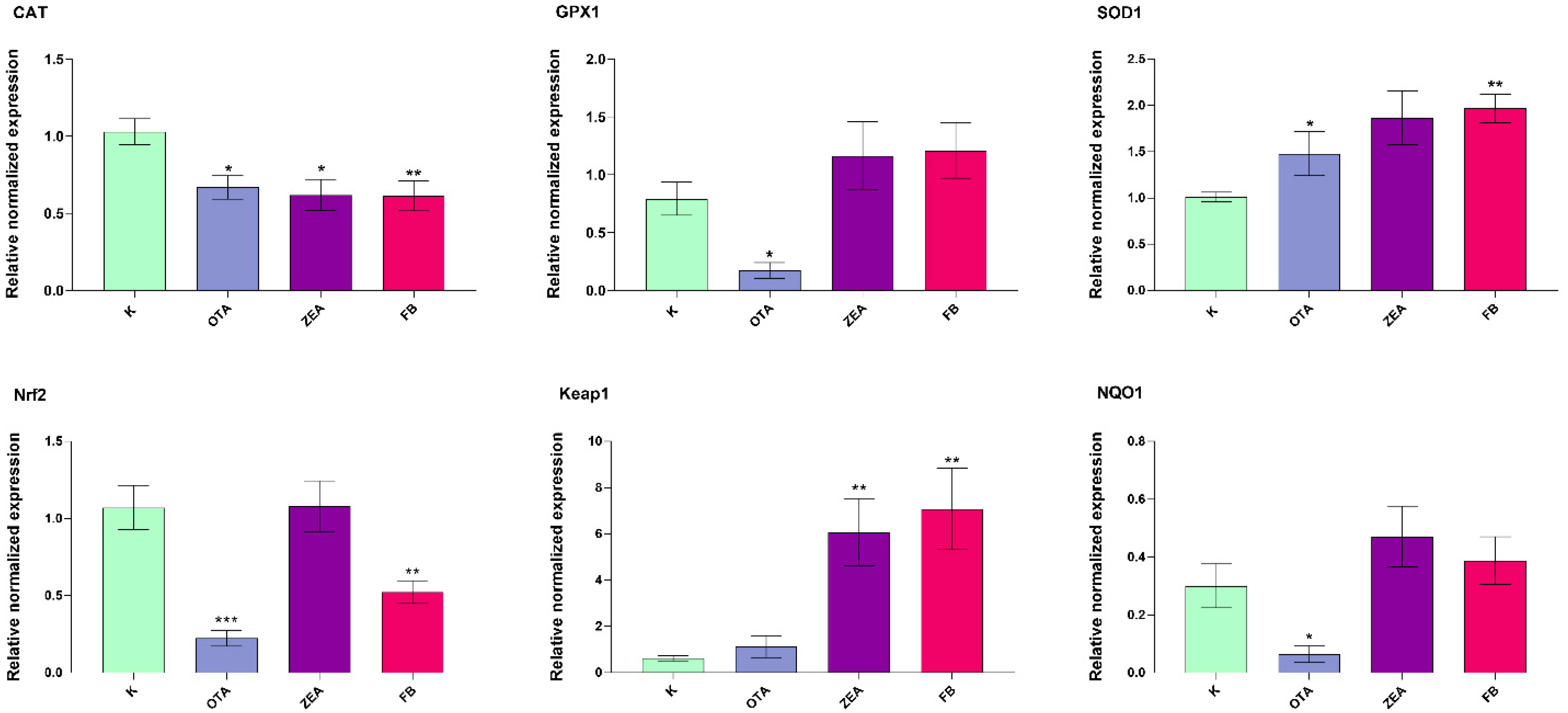 Foods 14 04249 g002 Foods 14 04249 g002