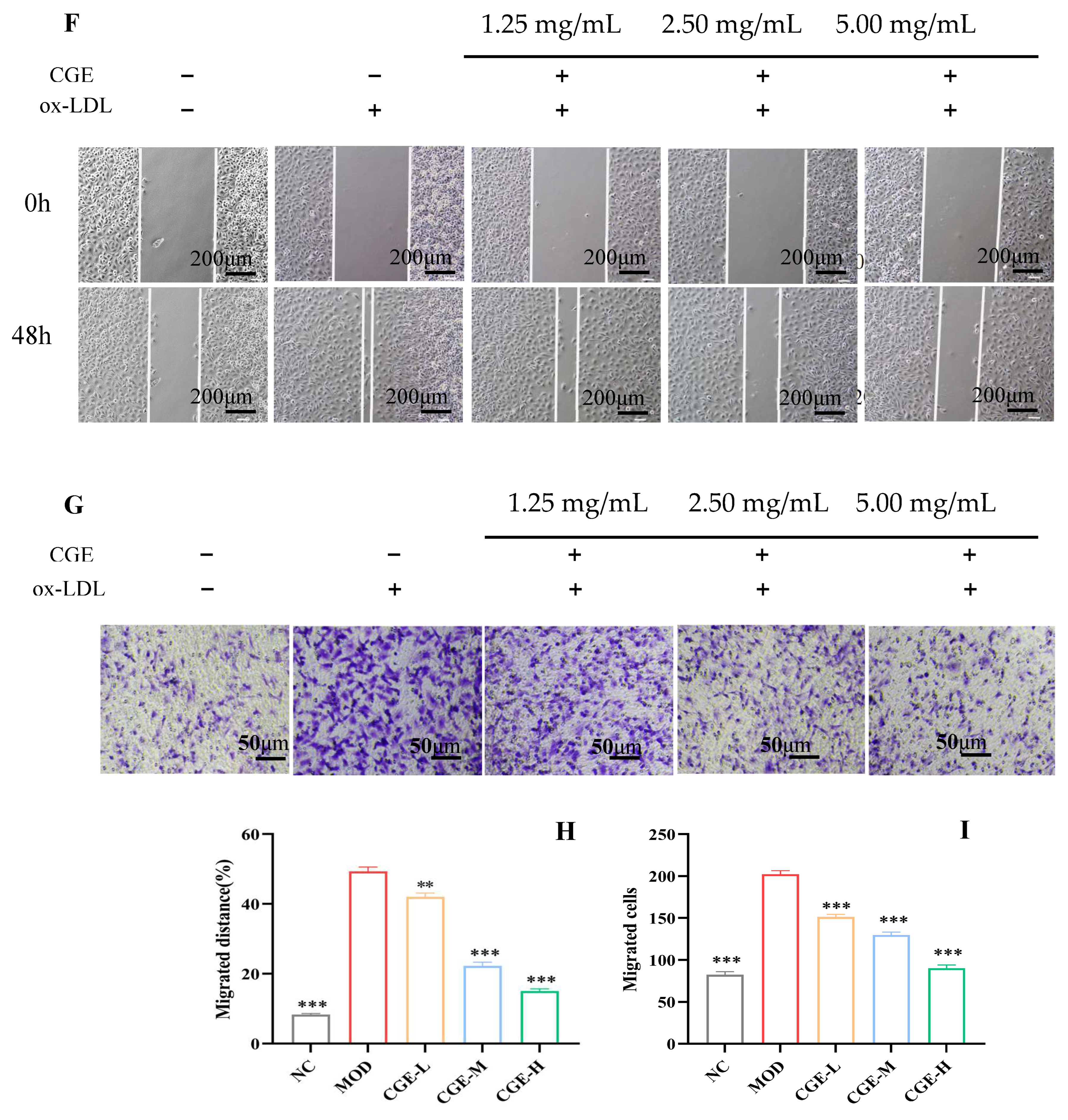 Foods 14 04267 g002b