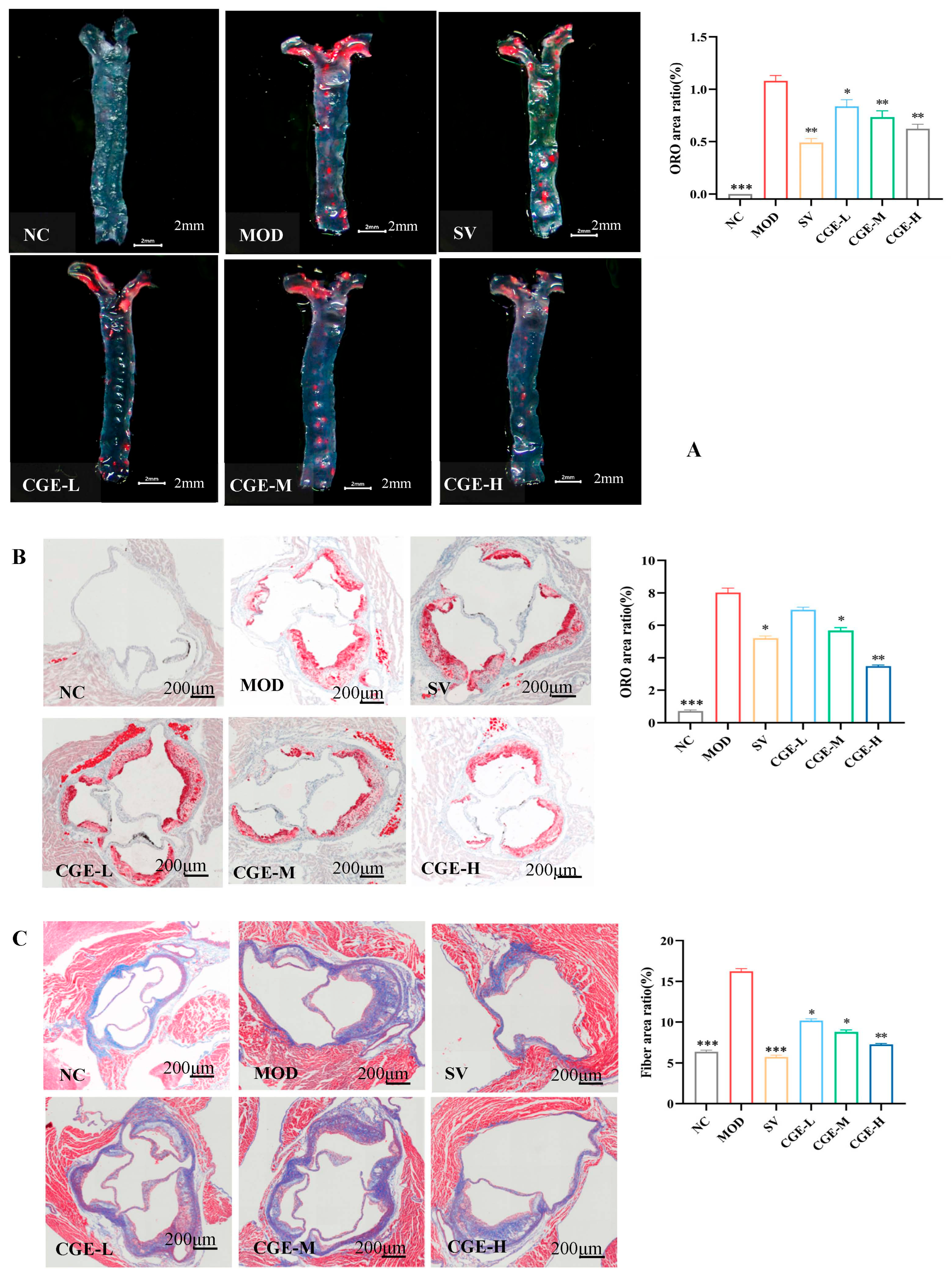 Foods 14 04267 g004a