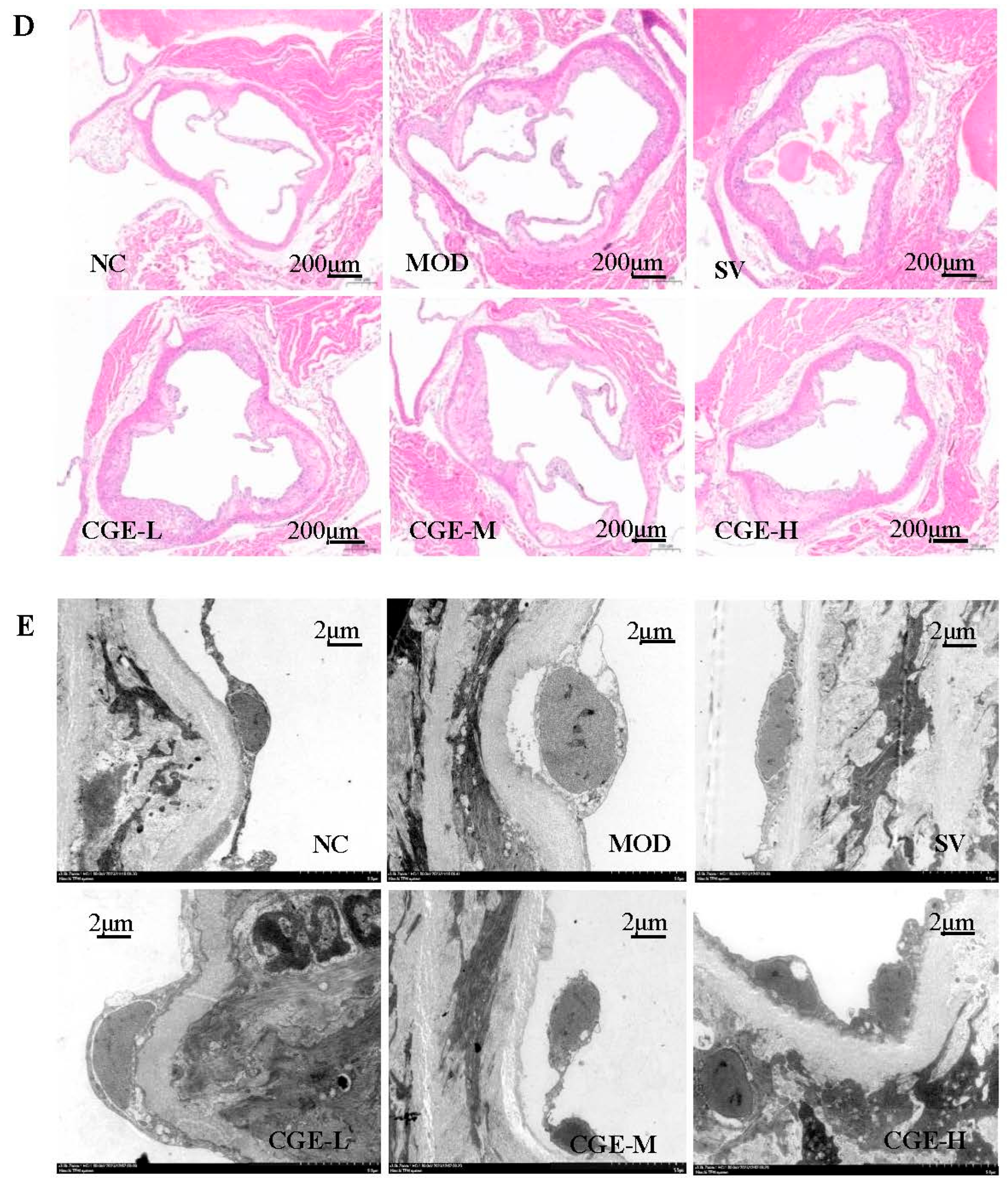 Foods 14 04267 g004b
