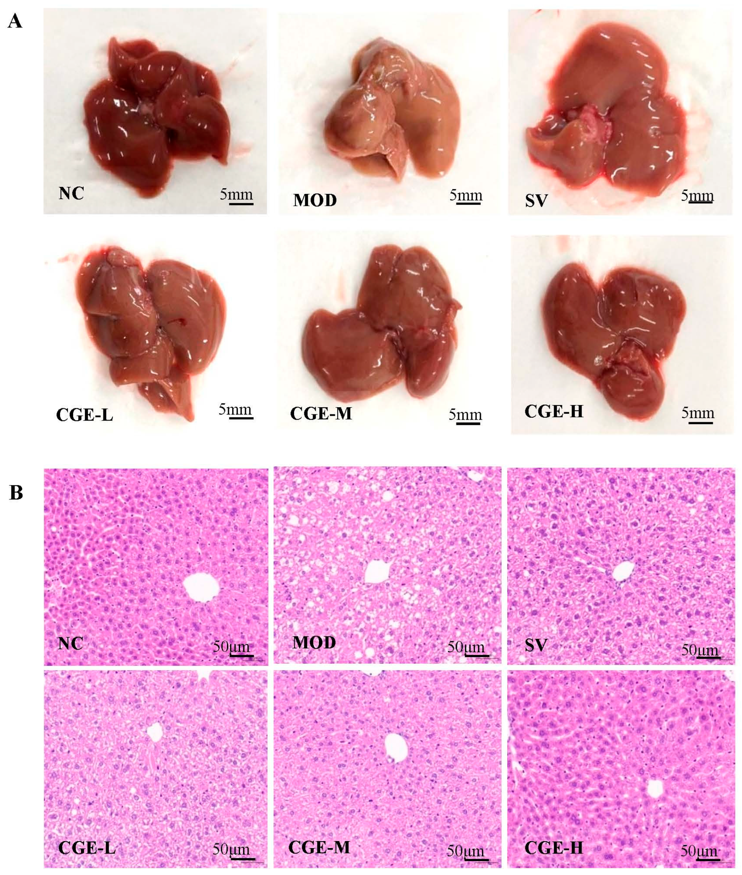 Foods 14 04267 g005a