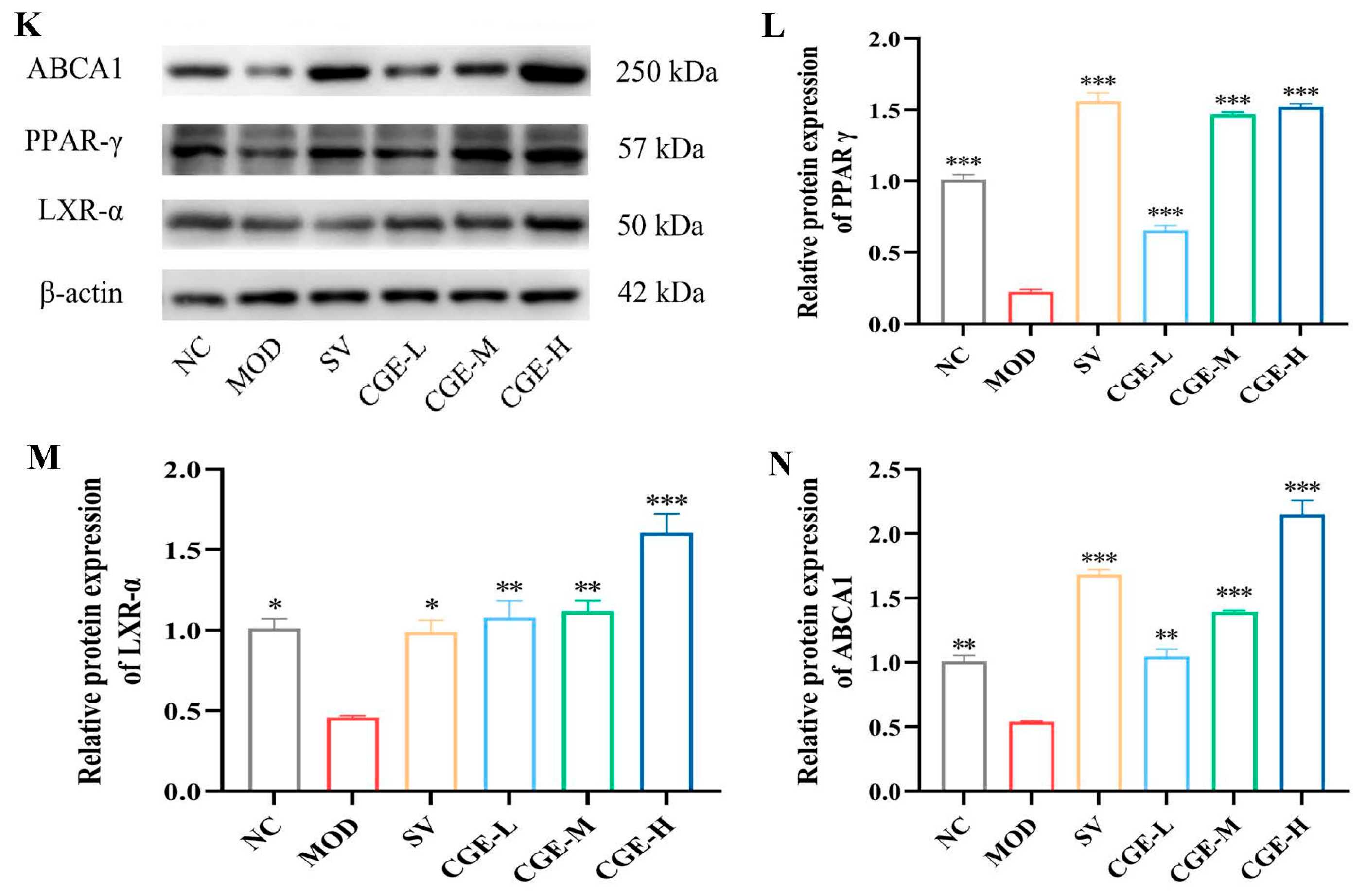 Foods 14 04267 g007b