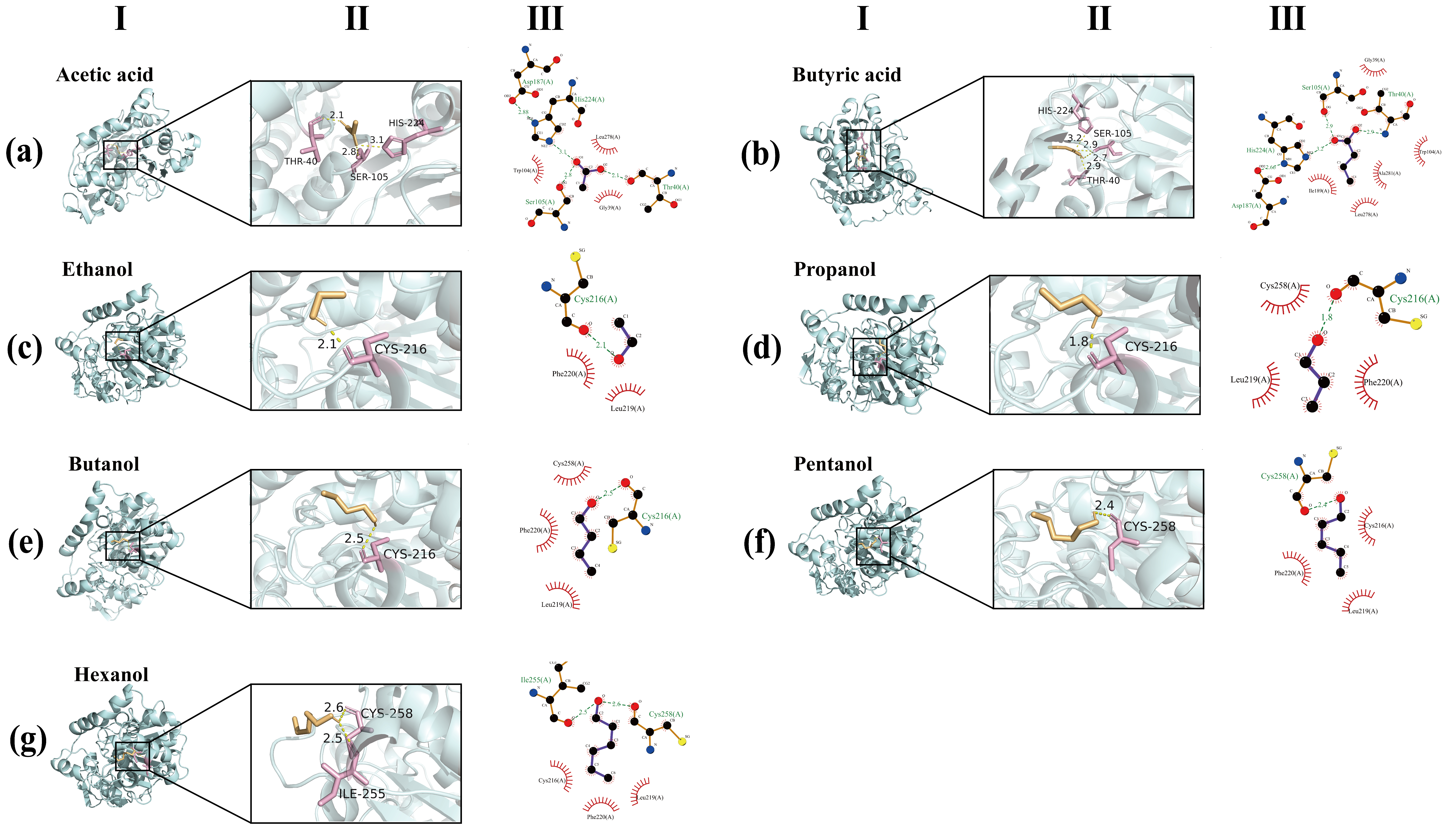 Foods 14 04272 g007 Foods 14 04272 g007