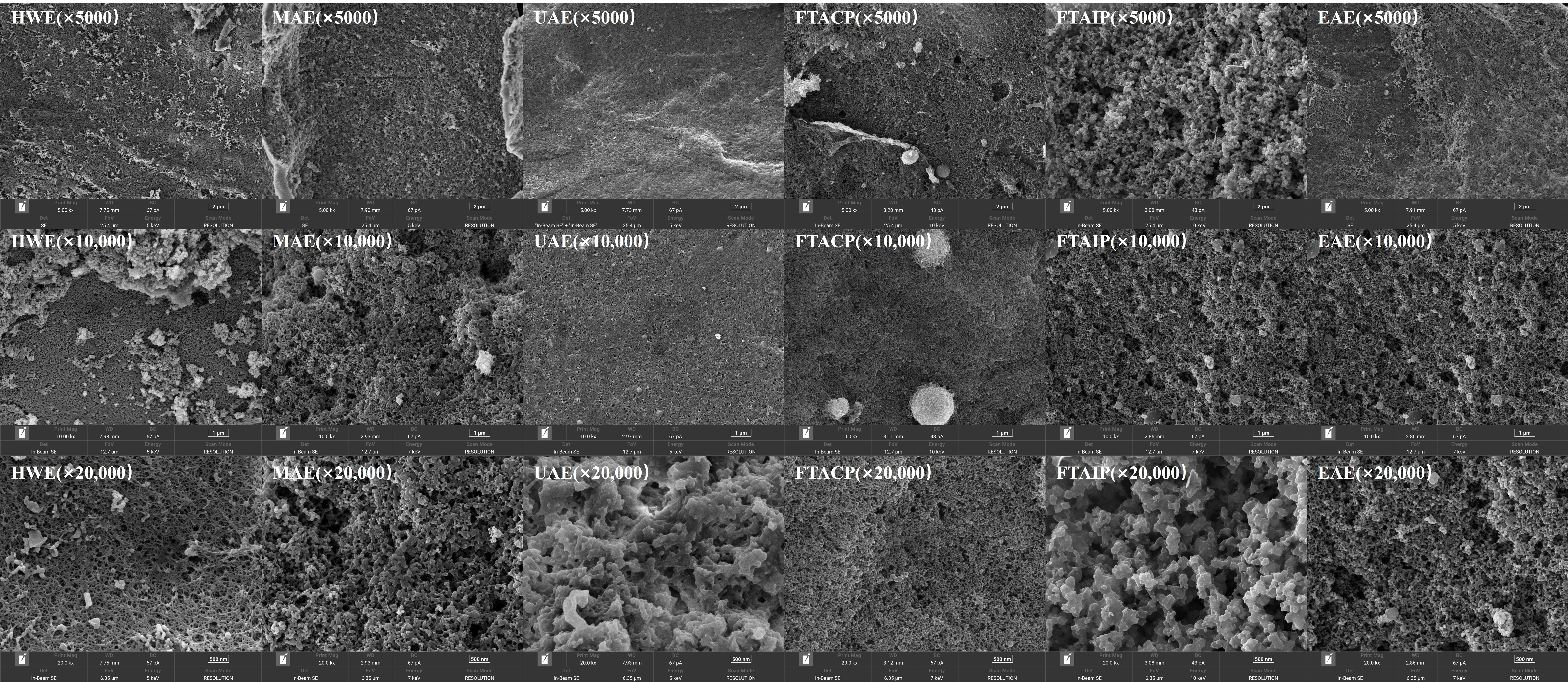 Foods 14 04275 g006 Foods 14 04275 g006