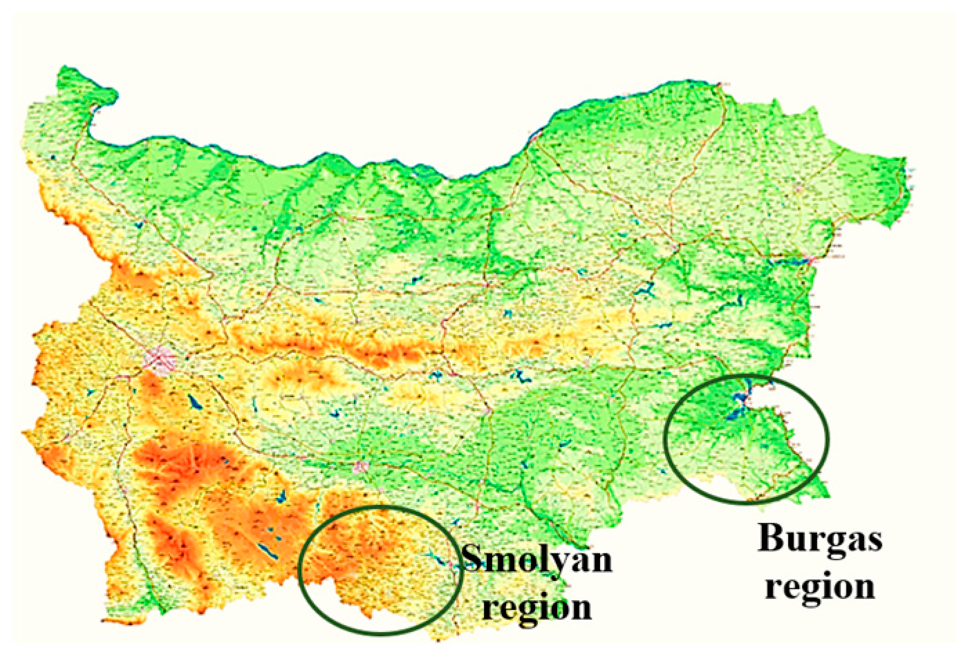 Foods 14 04298 g001 Foods 14 04298 g001