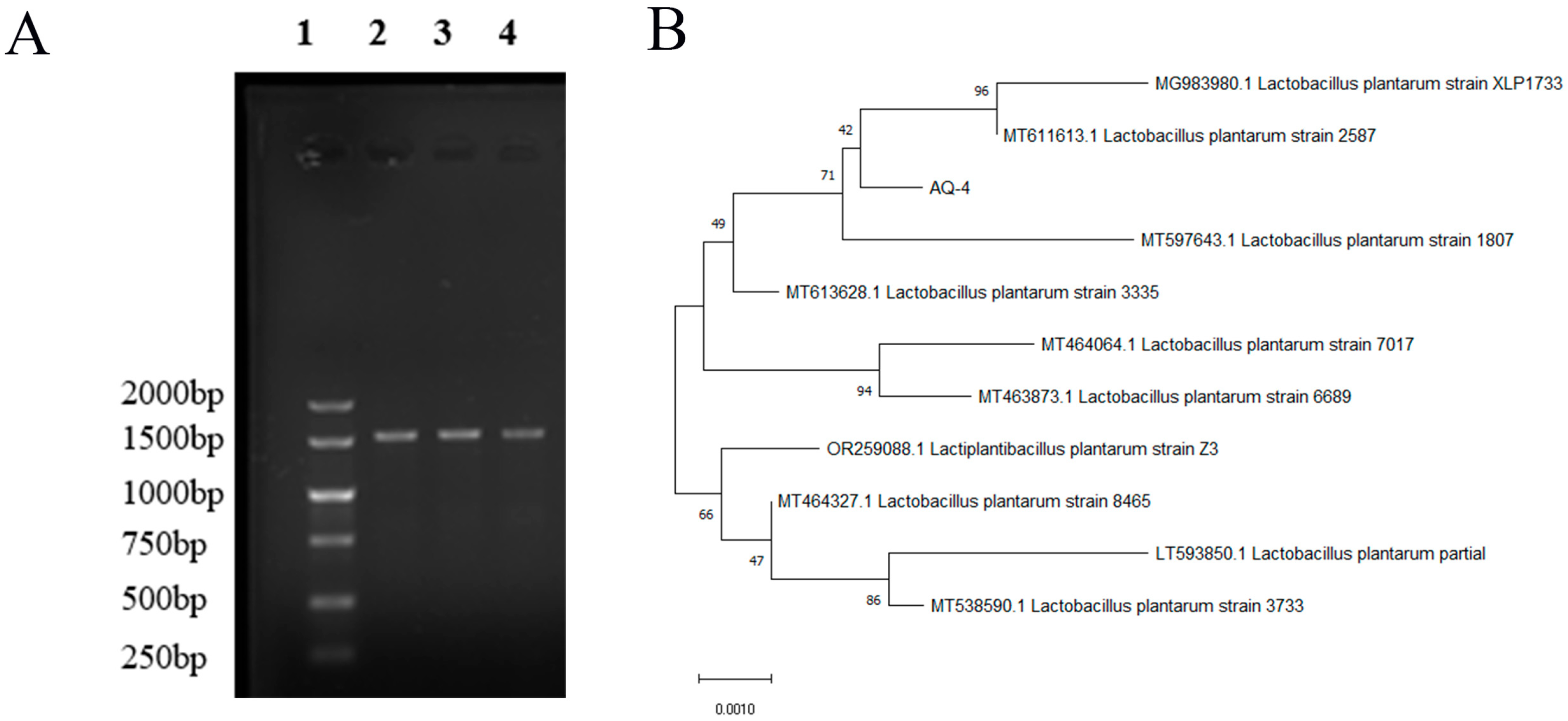 Foods 14 04299 g007 Foods 14 04299 g007