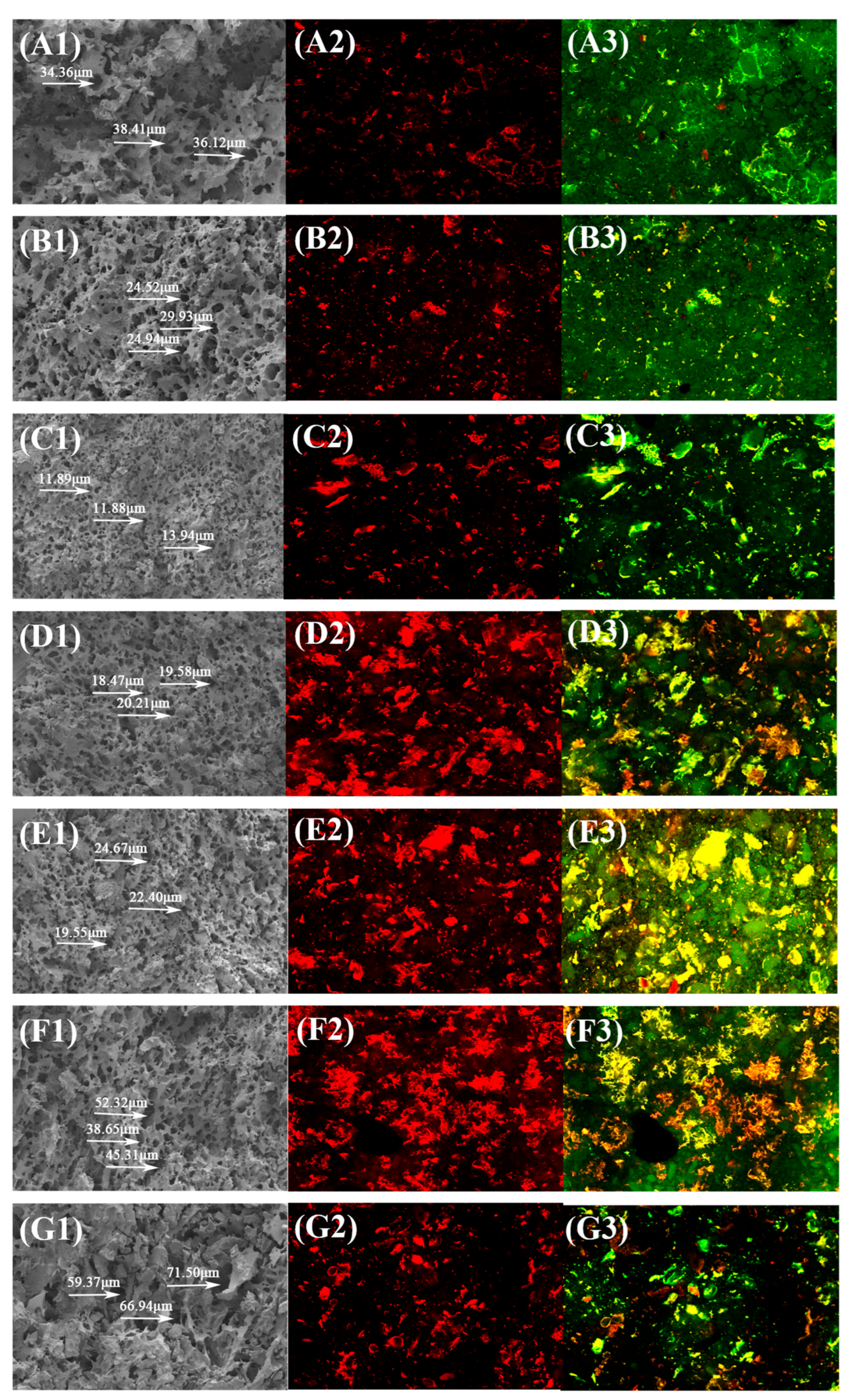 Foods 14 04302 g003 Foods 14 04302 g003