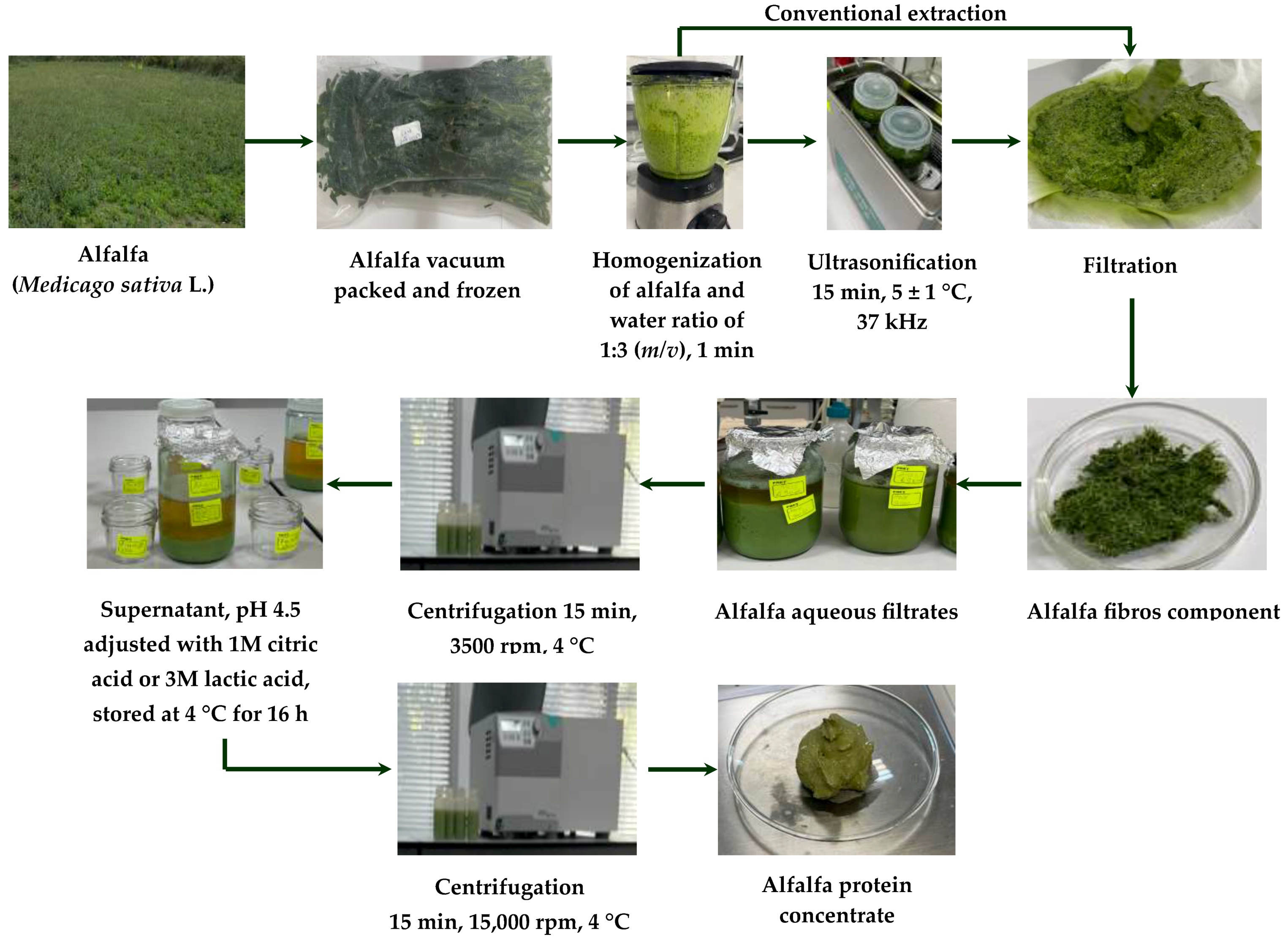 Foods 14 04309 g001 Foods 14 04309 g001