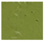 Foods 14 04309 i002 Foods 14 04309 i002