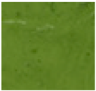 Foods 14 04309 i003 Foods 14 04309 i003