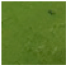 Foods 14 04309 i005 Foods 14 04309 i005