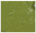 Foods 14 04309 i006 Foods 14 04309 i006