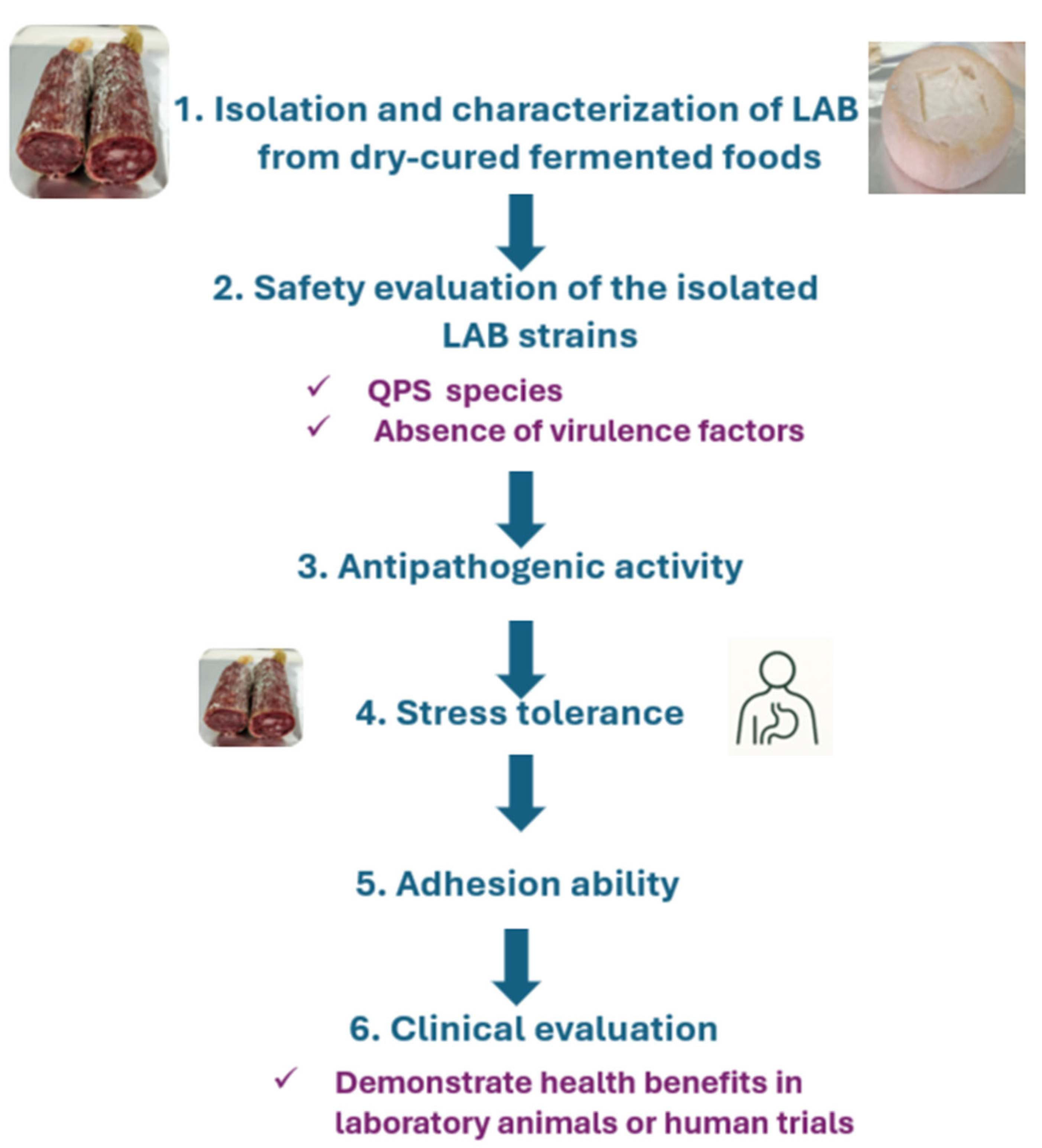 Foods 14 04332 g002 Foods 14 04332 g002
