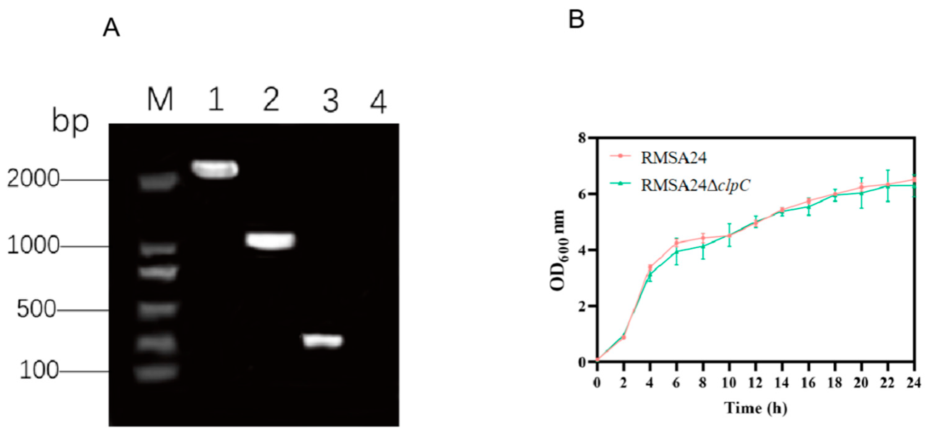 Foods 14 04333 g001 Foods 14 04333 g001