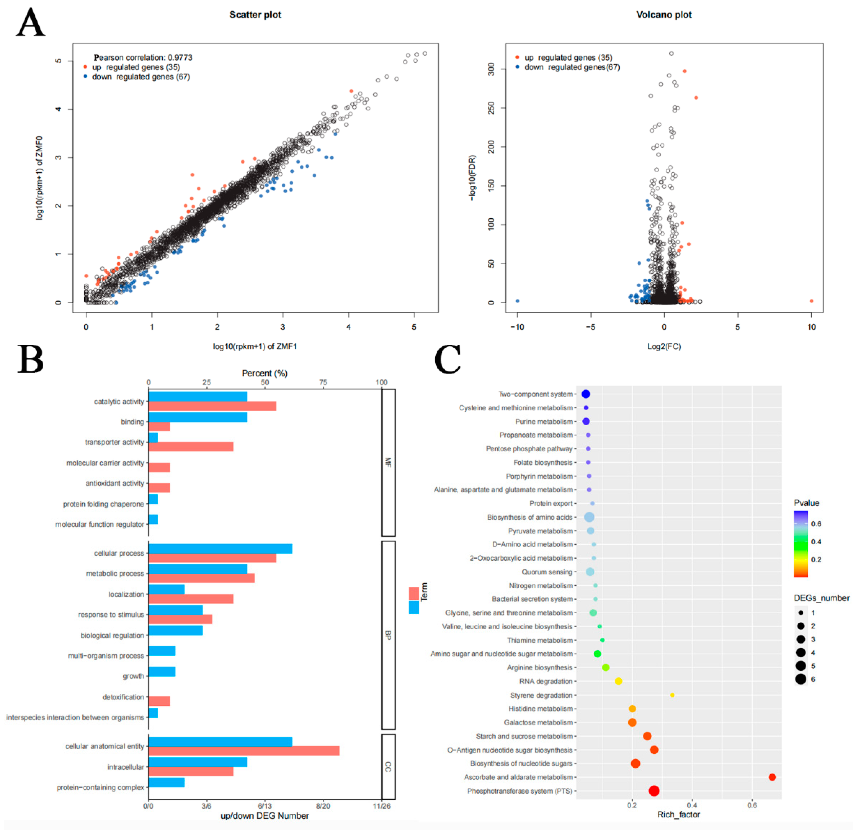 Foods 14 04333 g007 Foods 14 04333 g007