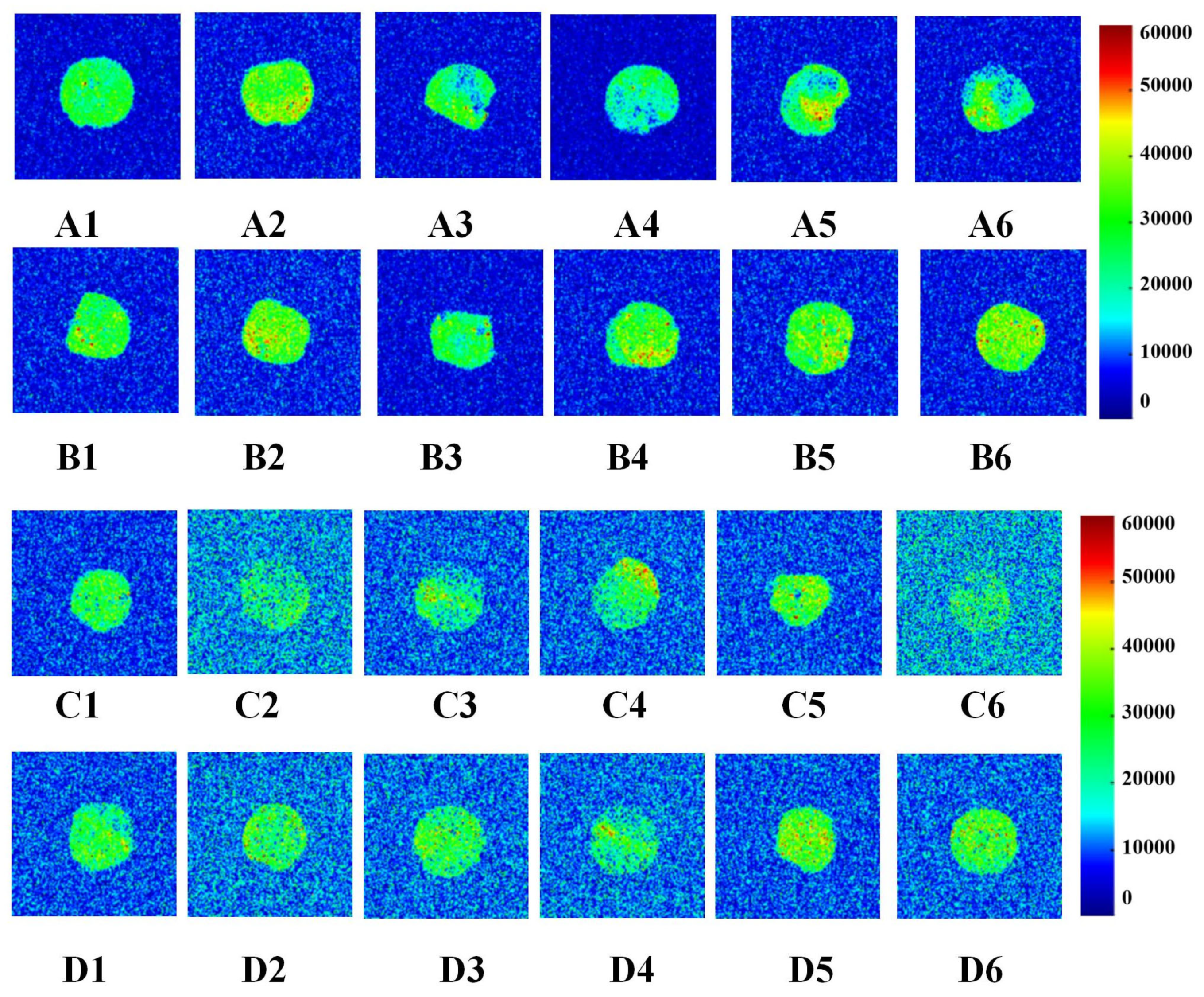 Foods 14 04336 g004 Foods 14 04336 g004