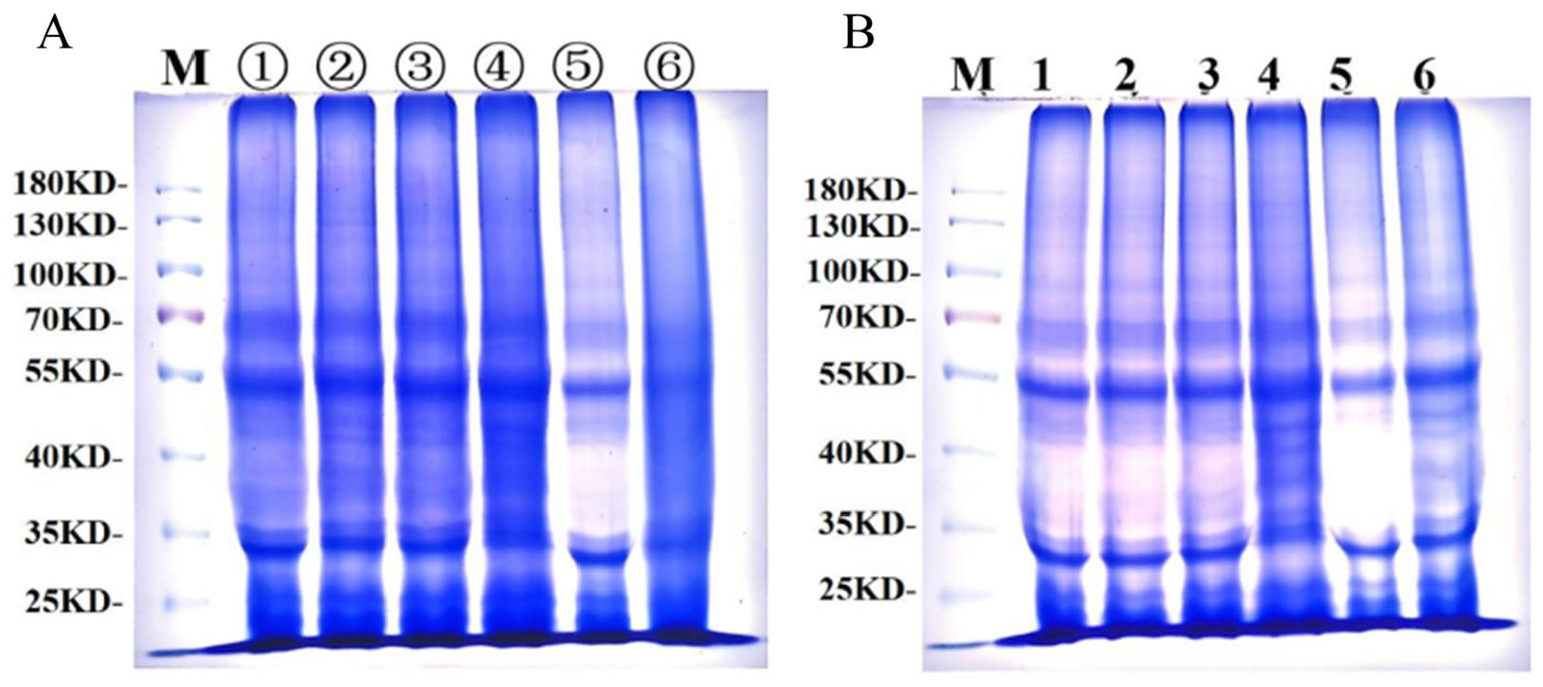 Foods 14 04336 g007 Foods 14 04336 g007