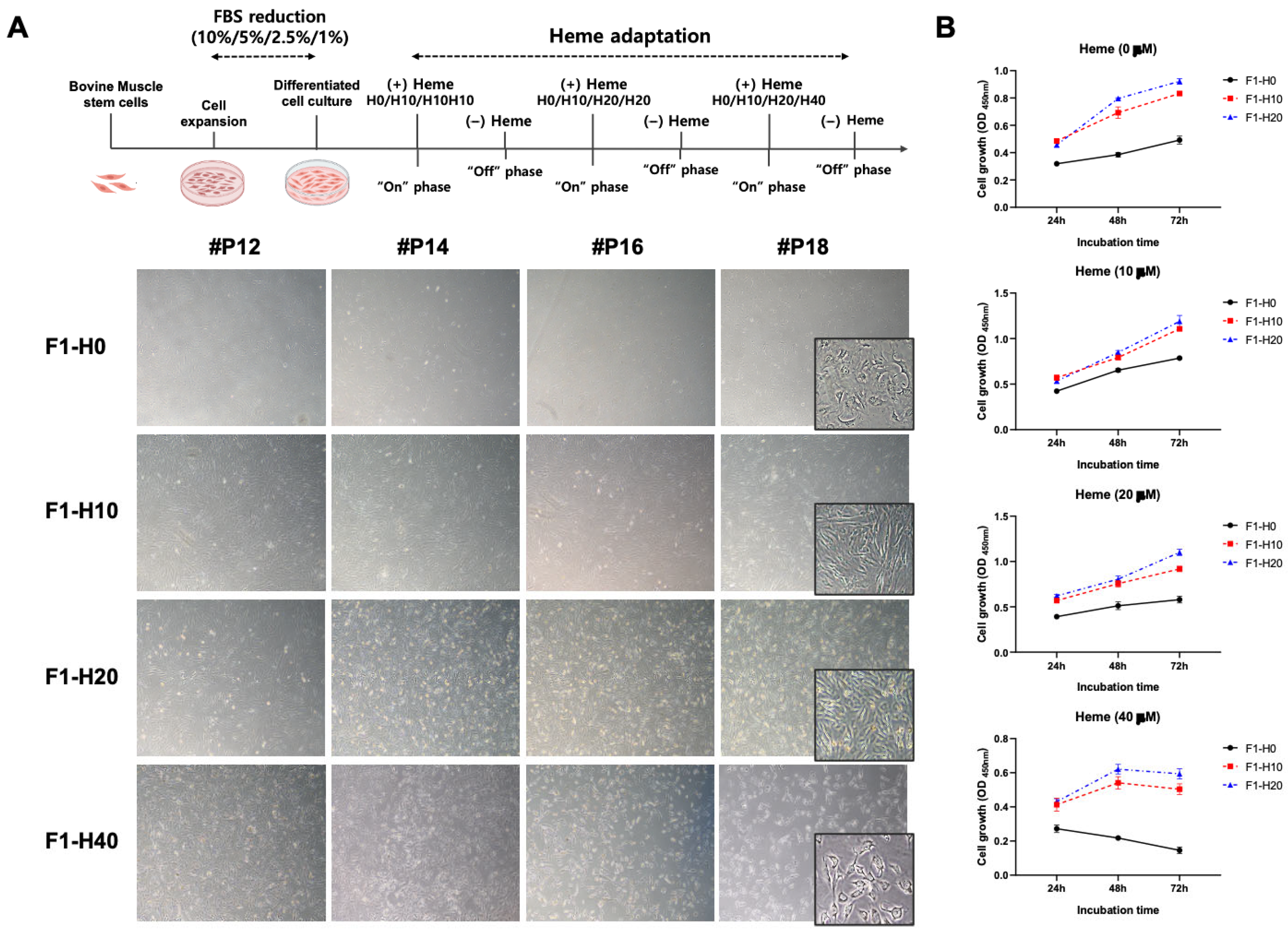 Foods 14 04348 g002 Foods 14 04348 g002