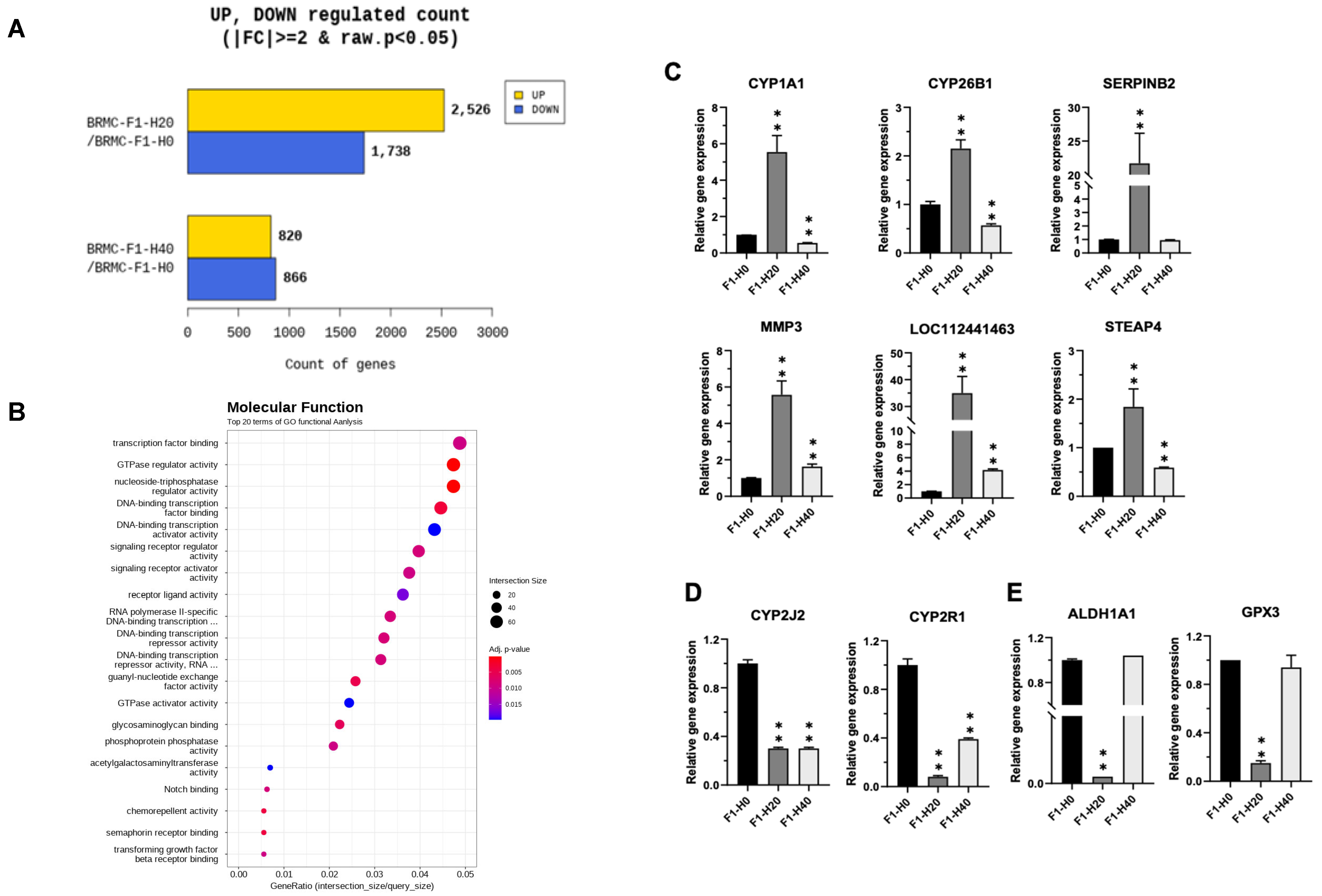 Foods 14 04348 g004 Foods 14 04348 g004