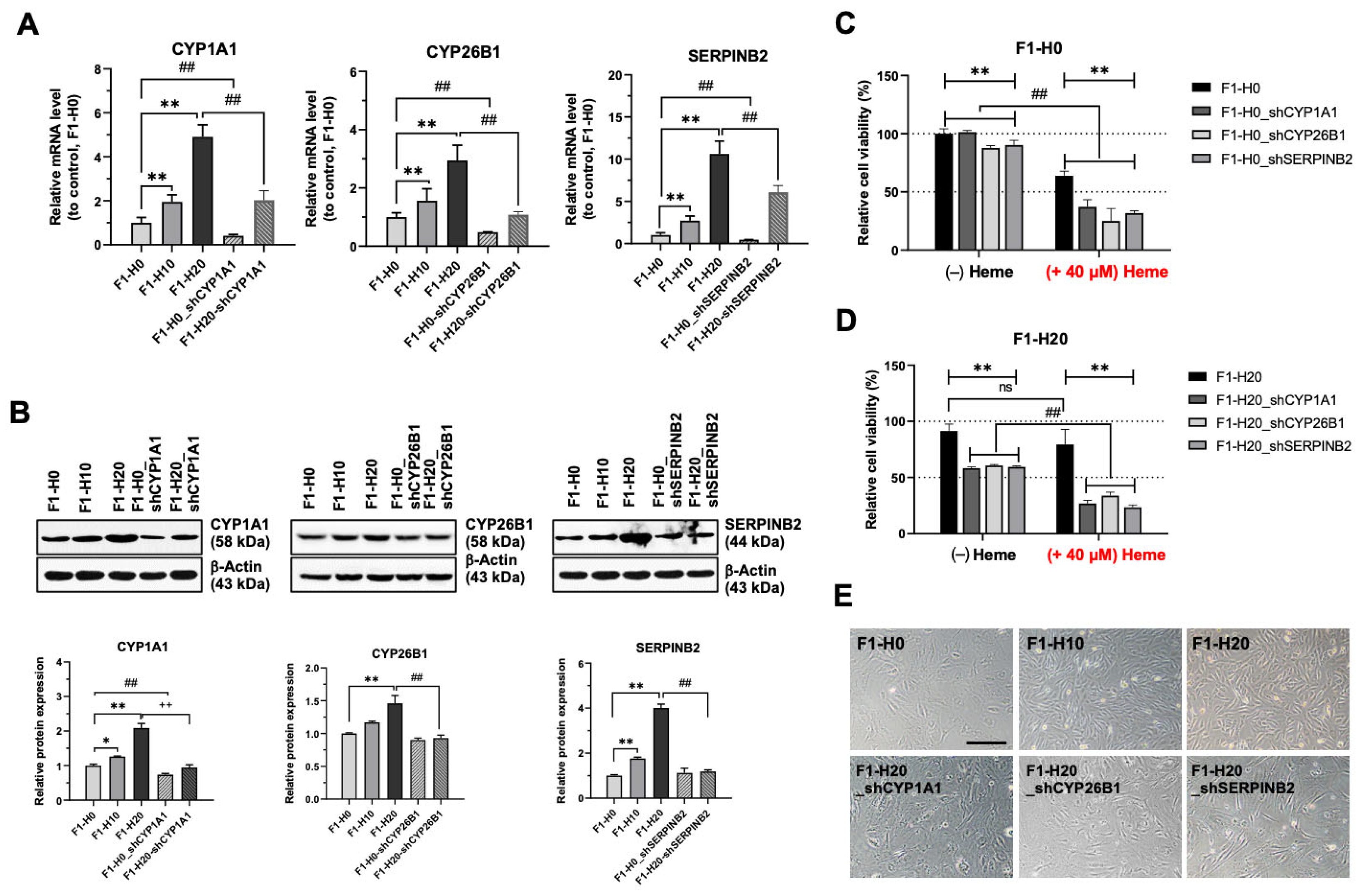 Foods 14 04348 g005 Foods 14 04348 g005