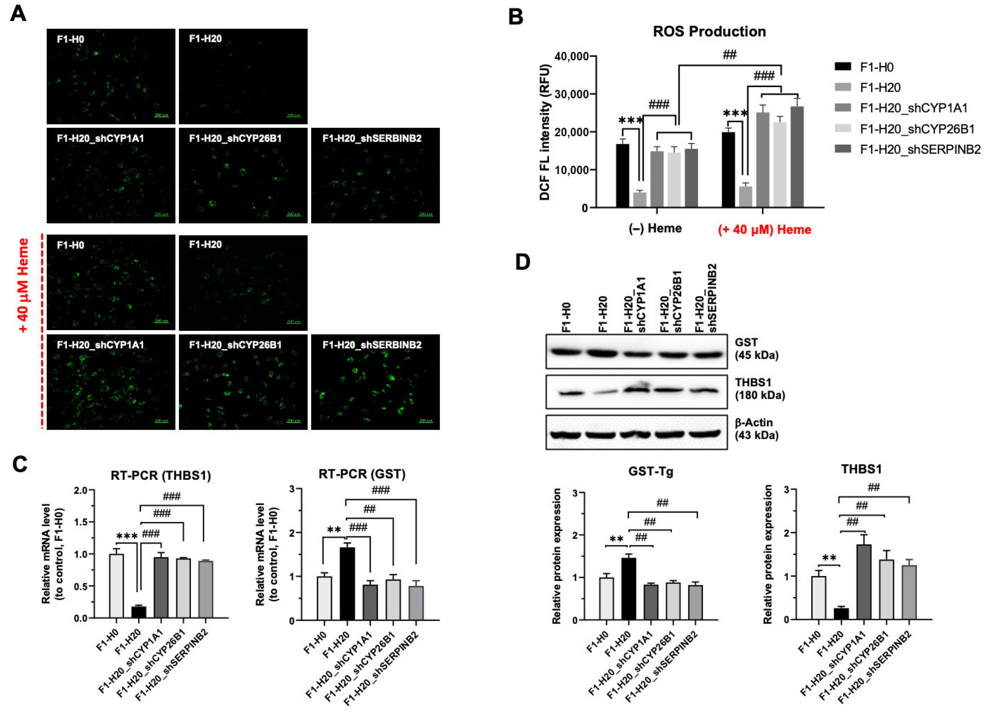 Foods 14 04348 g006 Foods 14 04348 g006