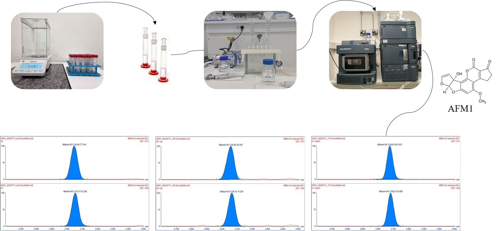 Foods 14 04354 g001 Foods 14 04354 g001