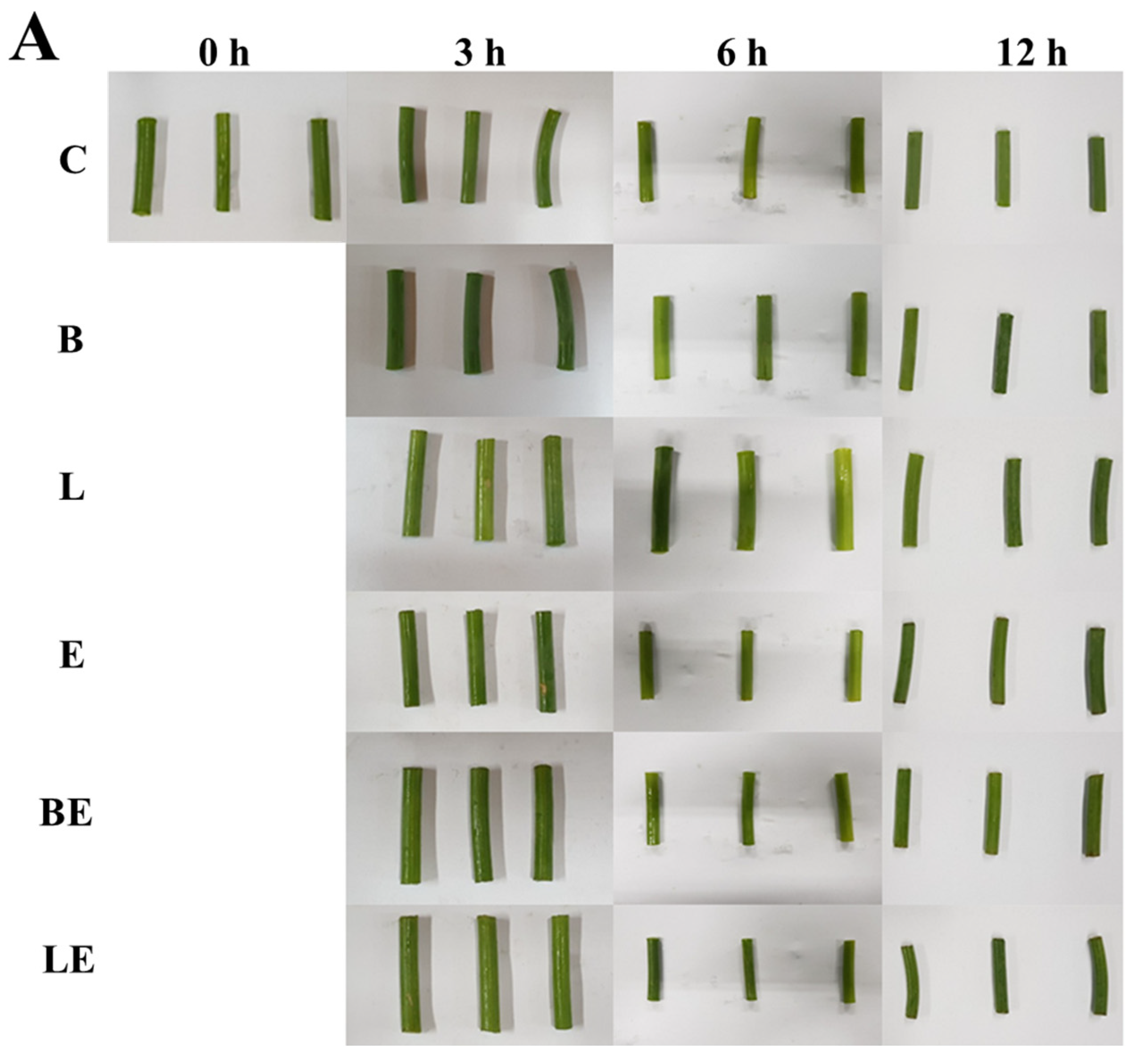 Foods 15 00008 g003a Foods 15 00008 g003a