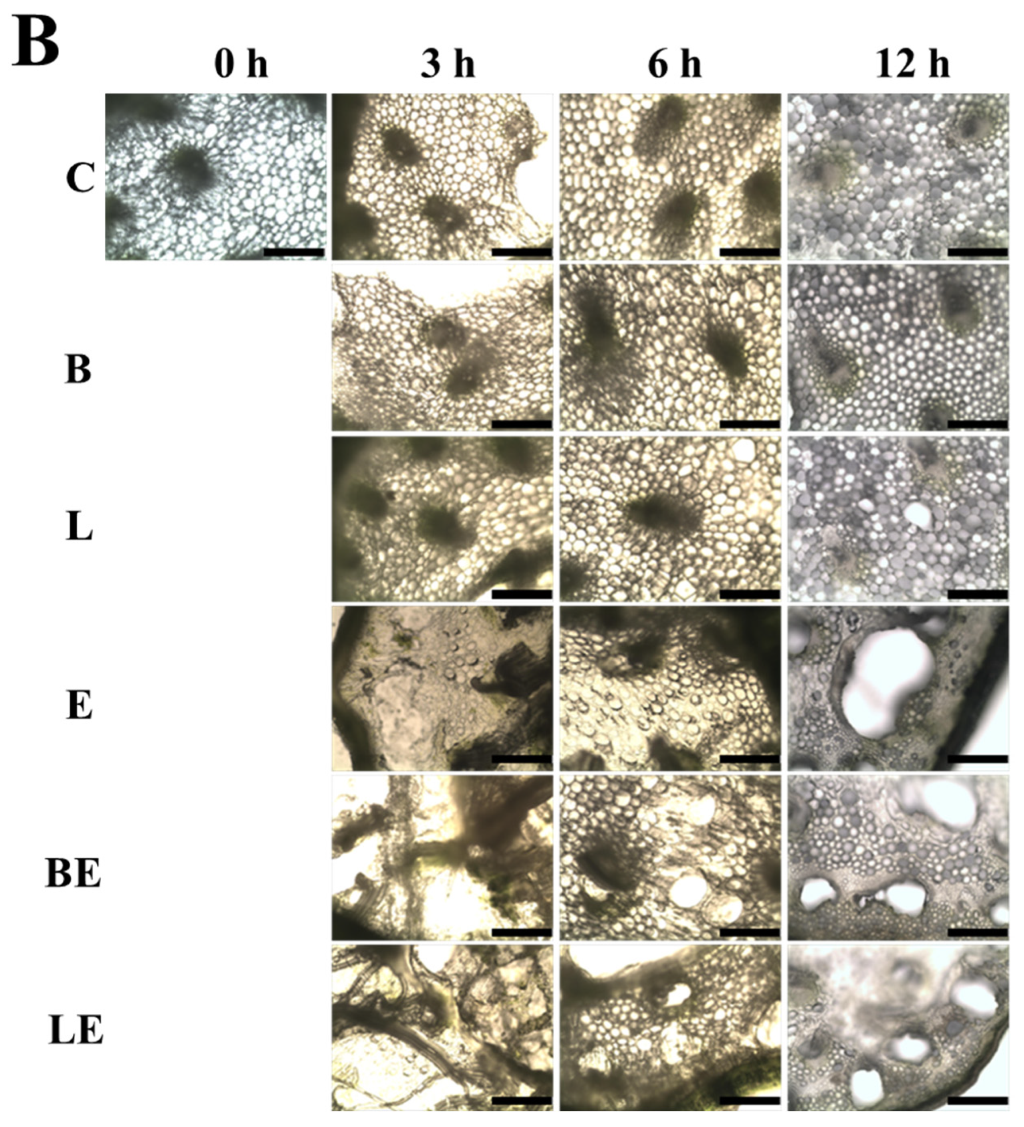 Foods 15 00008 g003b Foods 15 00008 g003b