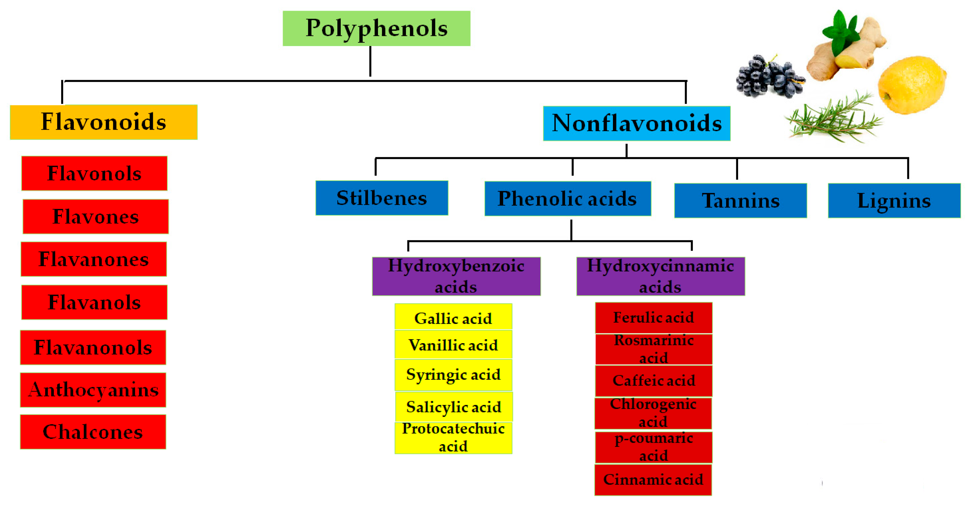 Foods 15 00108 g001 Foods 15 00108 g001
