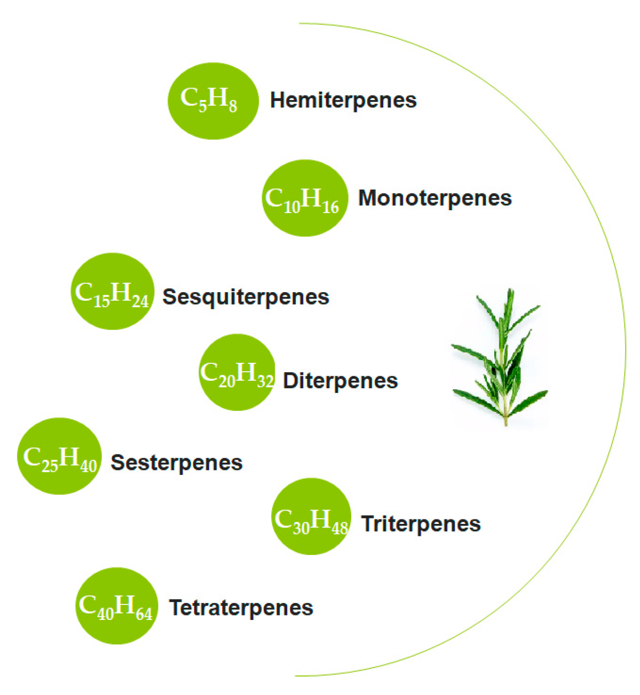 Foods 15 00108 g002 Foods 15 00108 g002